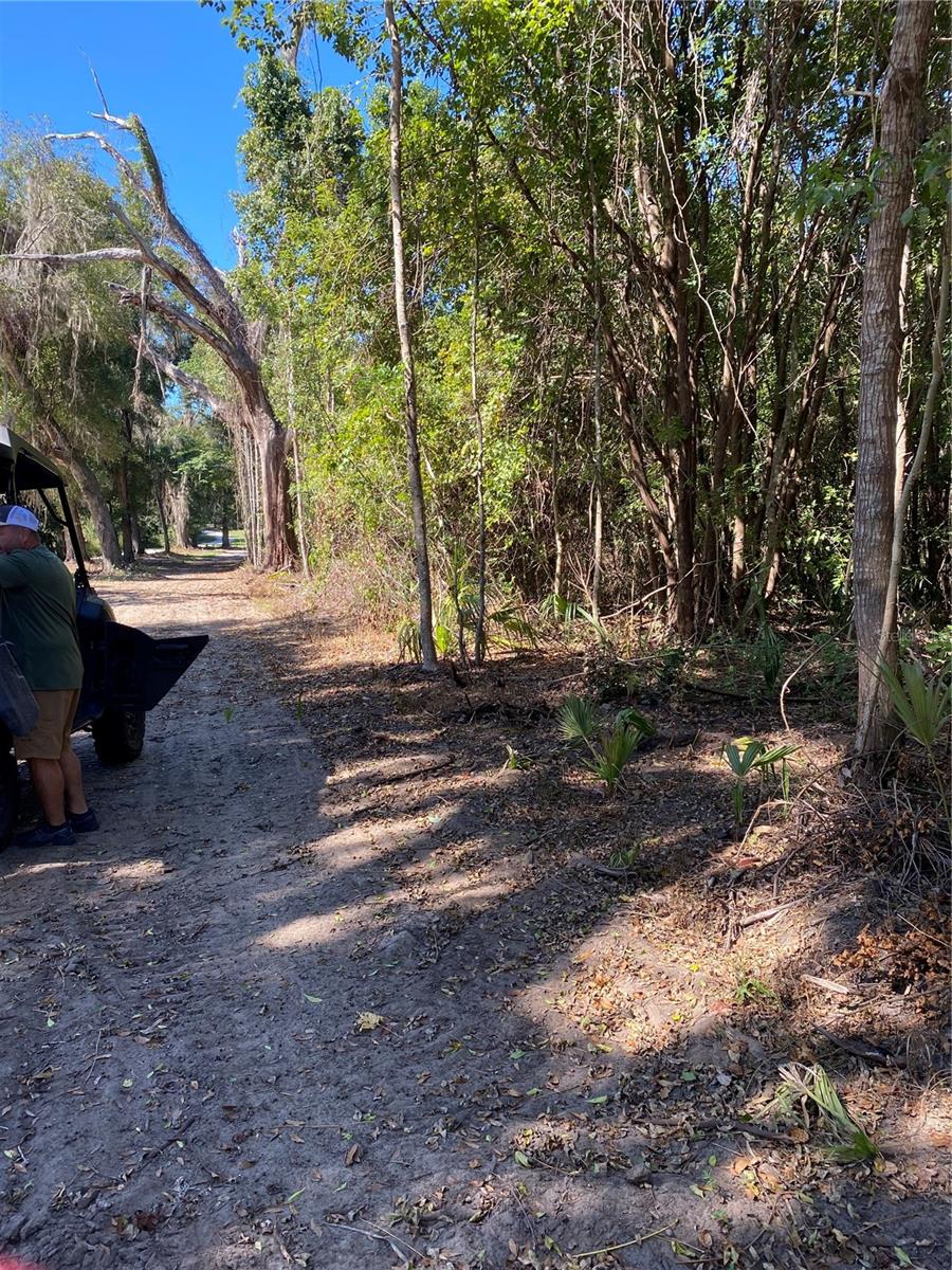 0 NW 185TH ST, CITRA, FL, 32113