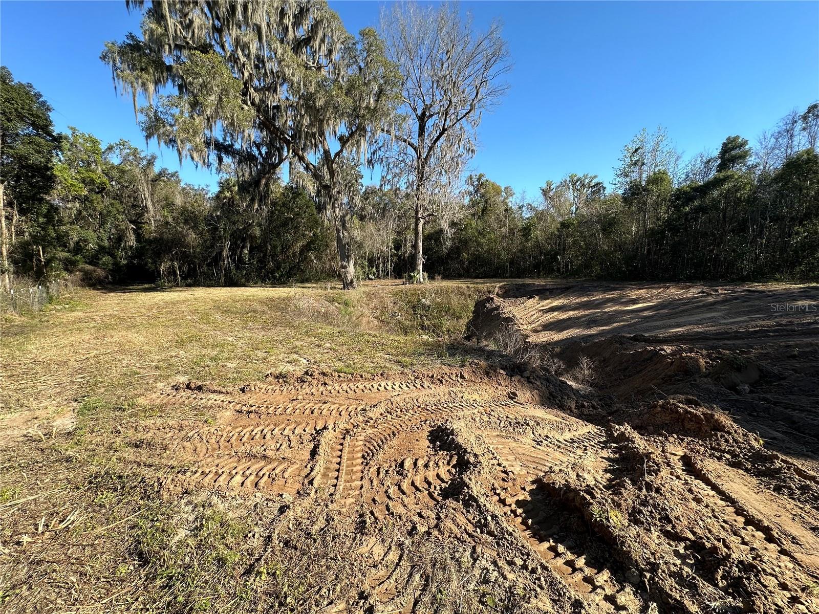 0 NW 185TH ST, CITRA, FL, 32113