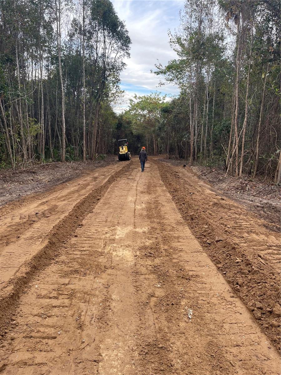 0 NW 185TH ST, CITRA, FL, 32113