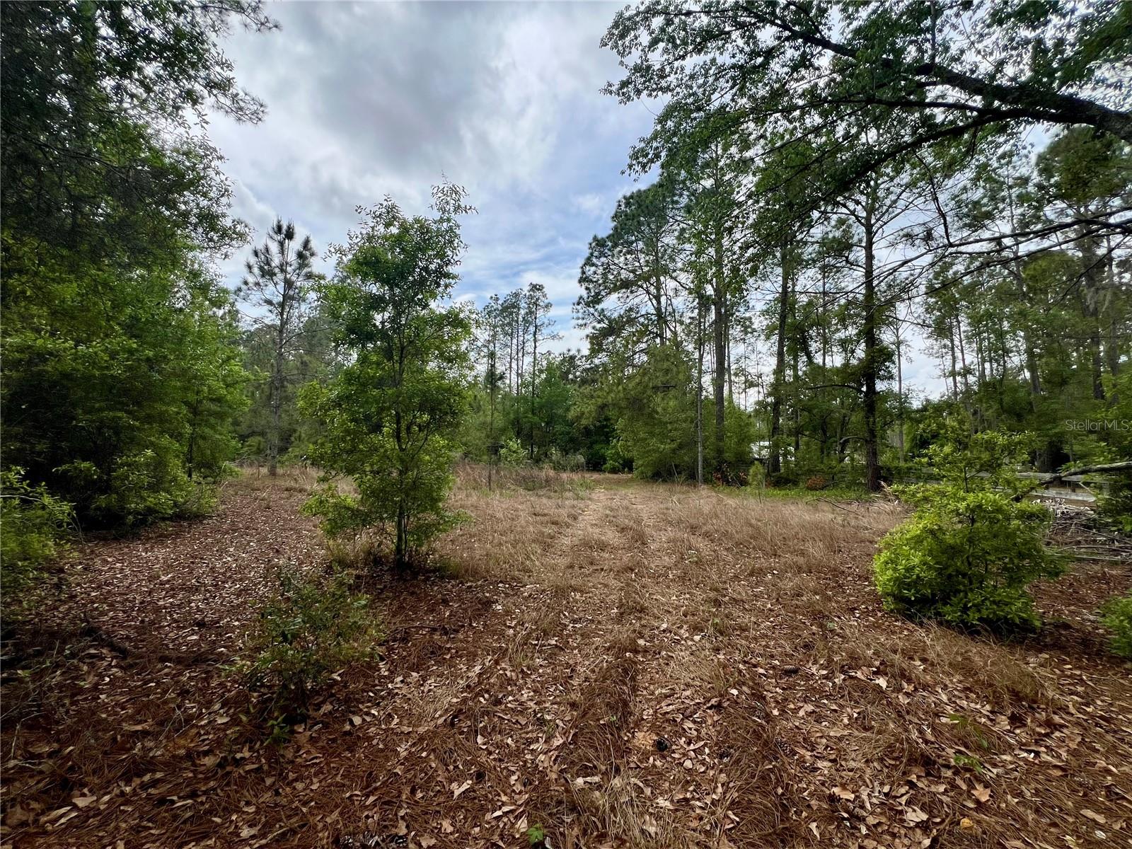 20825 COUNTY ROAD 44A, EUSTIS, FL, 32736