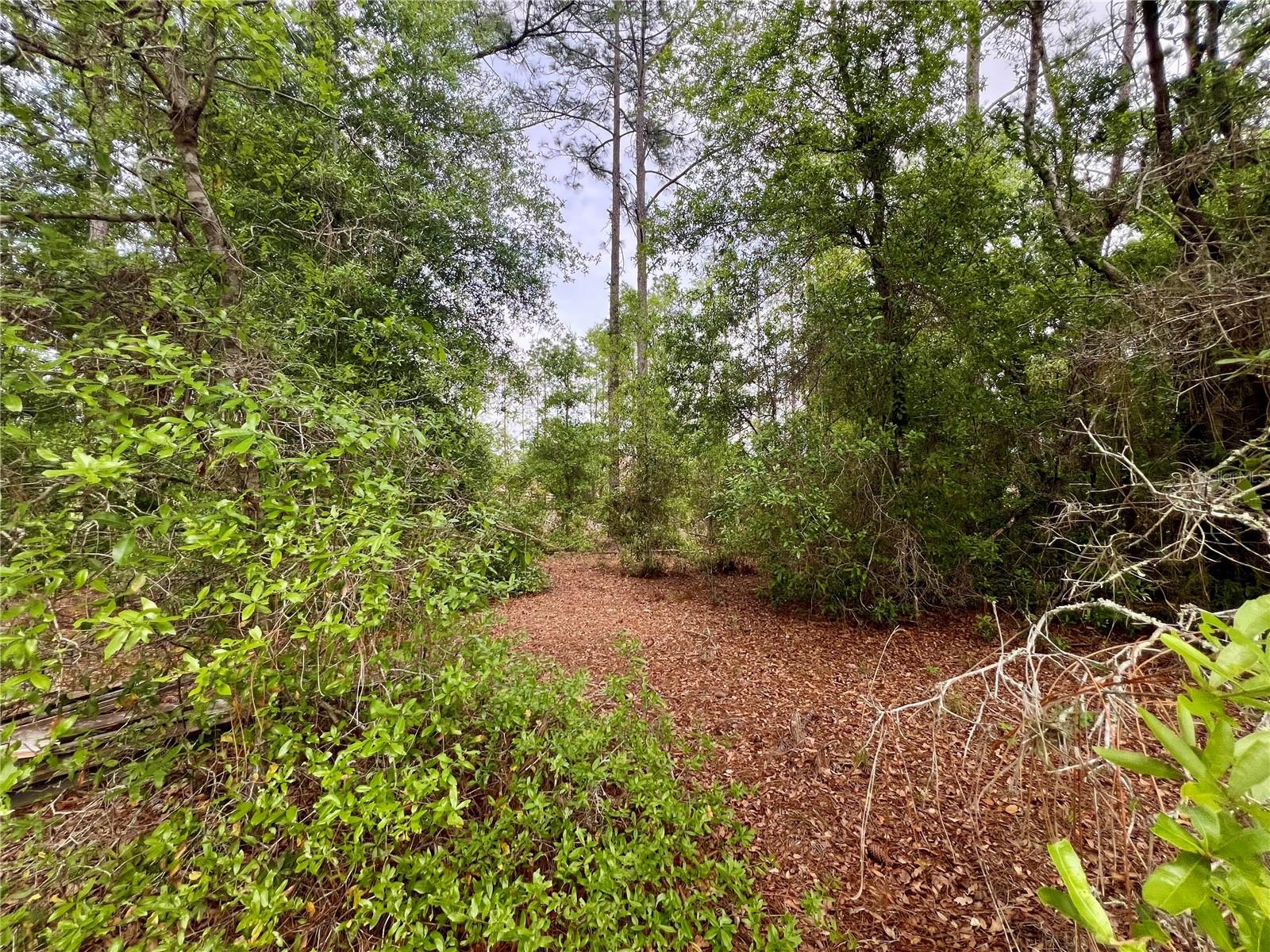 20825 COUNTY ROAD 44A, EUSTIS, FL, 32736