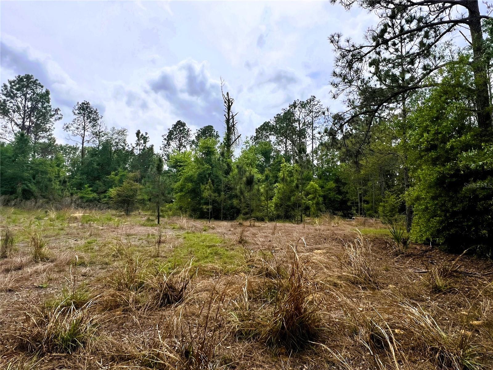 20825 COUNTY ROAD 44A, EUSTIS, FL, 32736