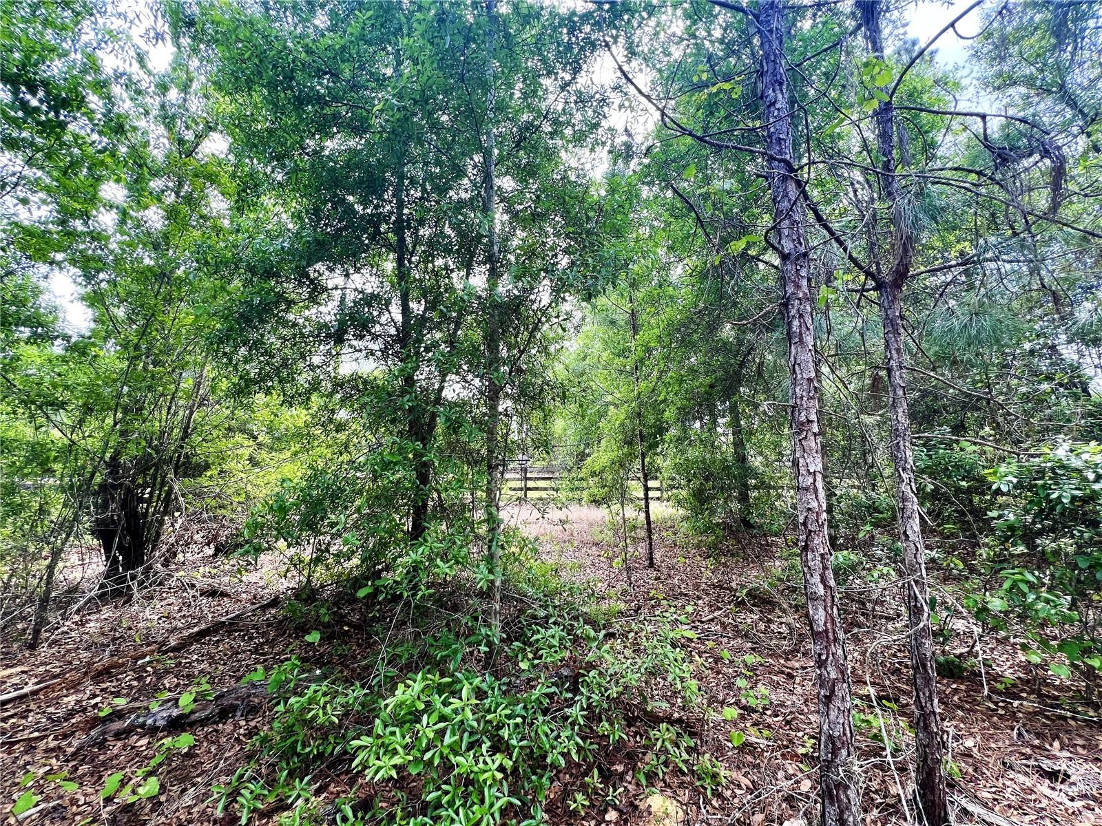 20825 COUNTY ROAD 44A, EUSTIS, FL, 32736