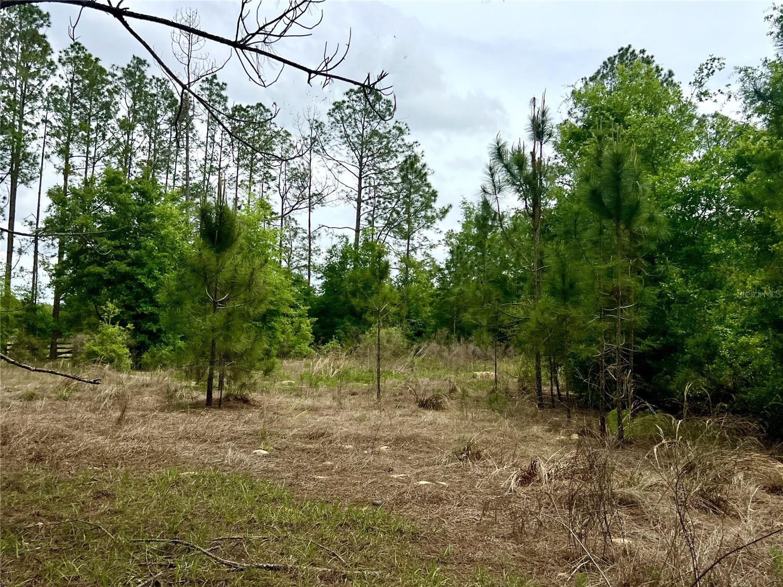 20825 COUNTY ROAD 44A, EUSTIS, FL, 32736