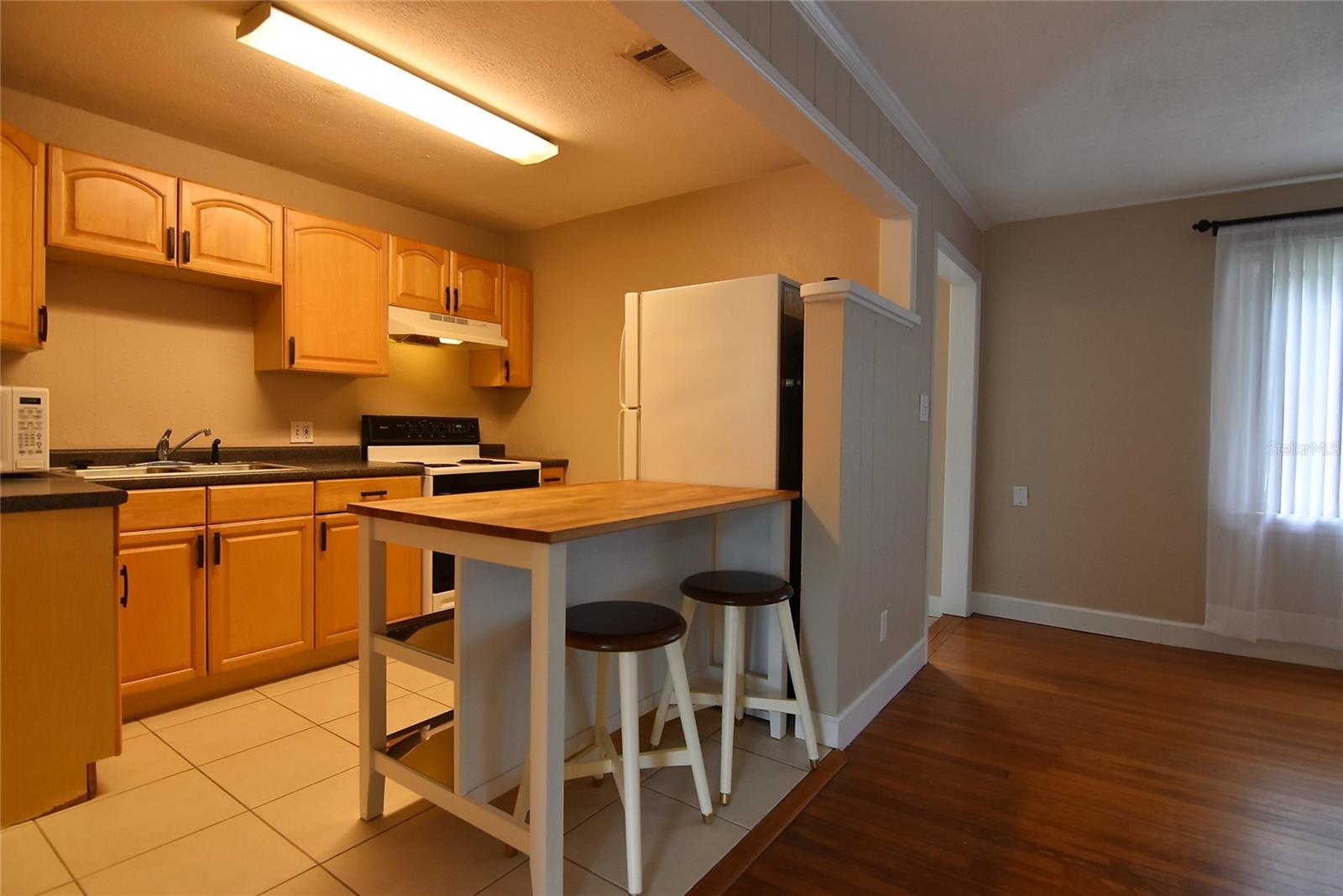 3225 PALMER ST, ORLANDO, FL, 32803