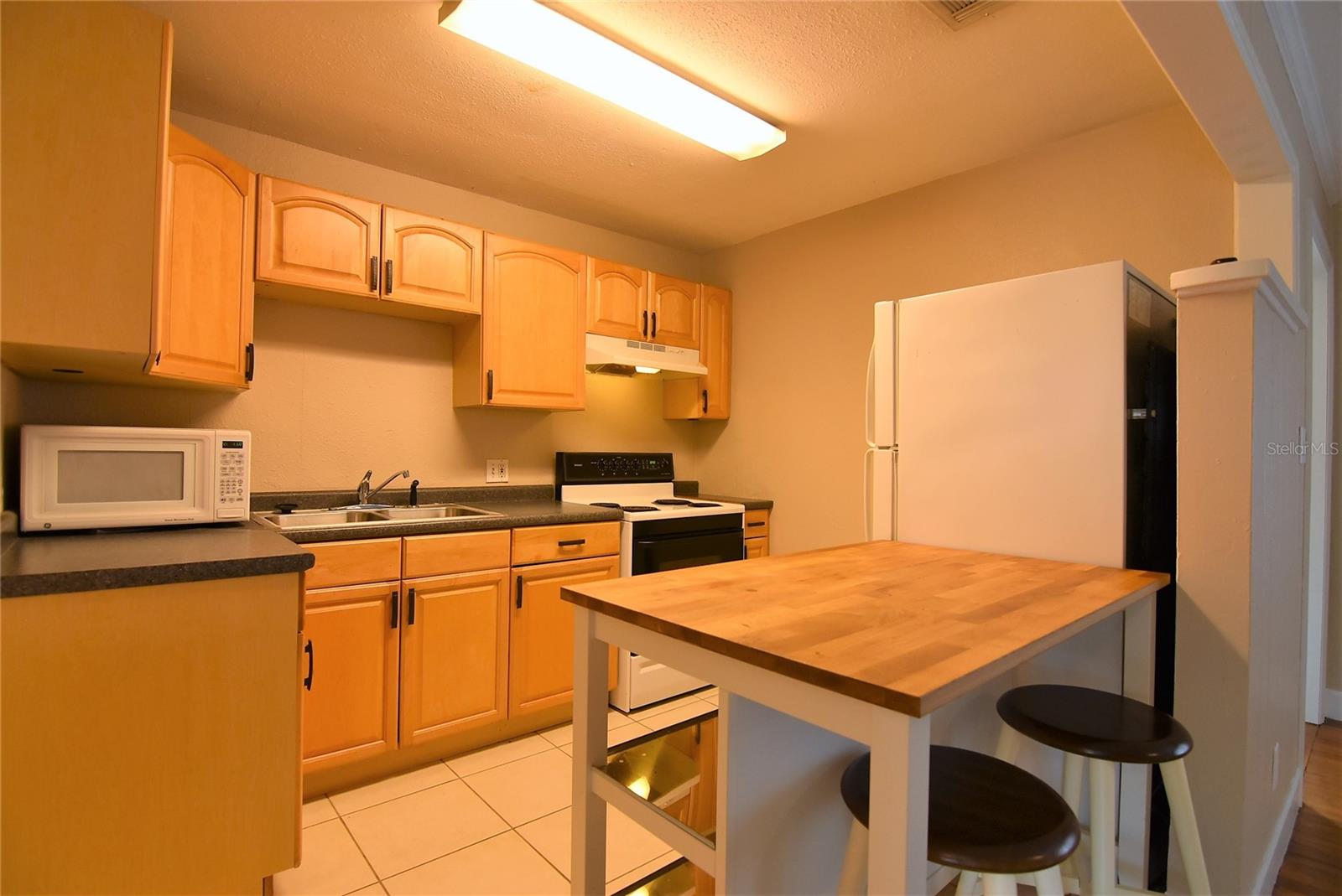 3225 PALMER ST, ORLANDO, FL, 32803