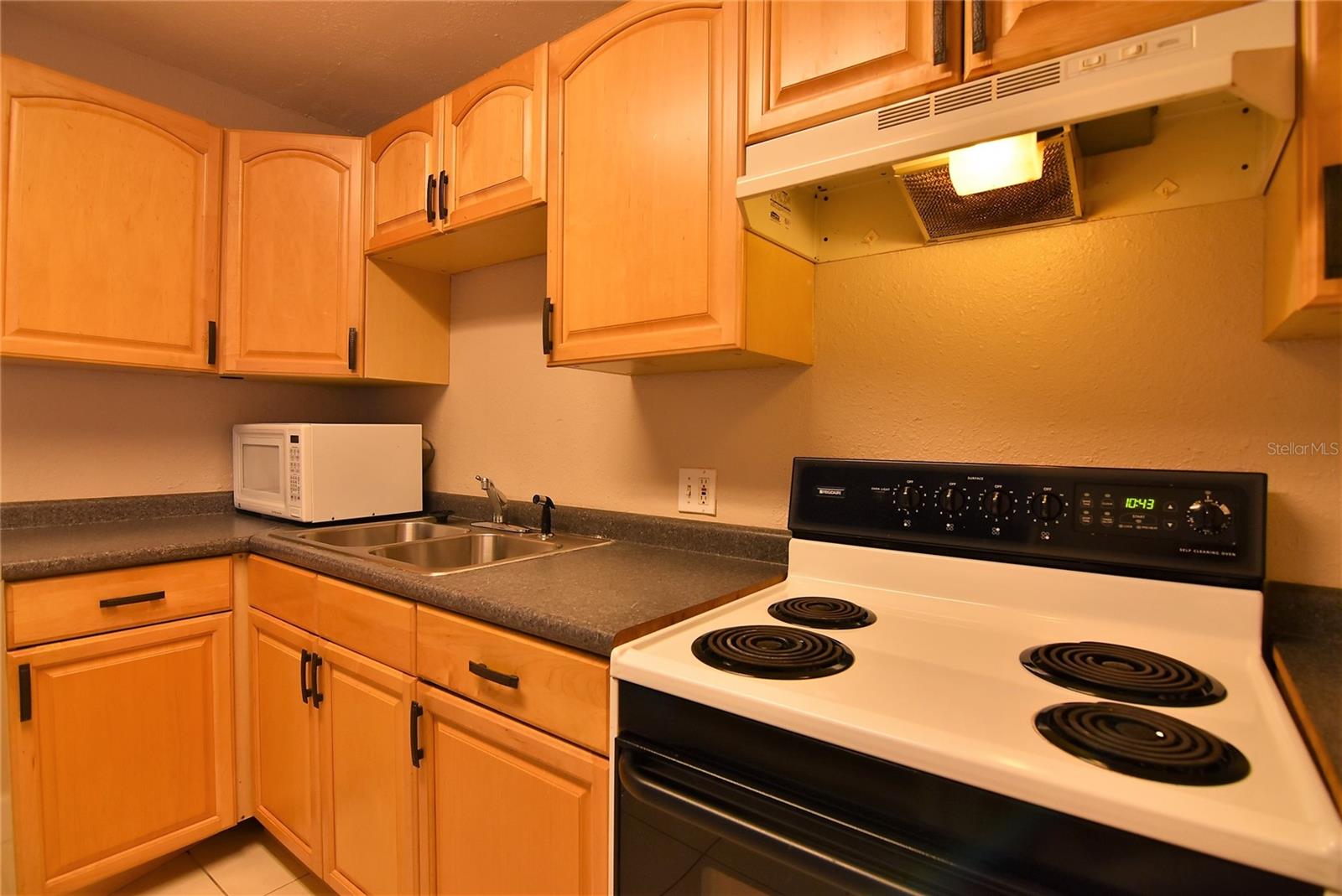 3225 PALMER ST, ORLANDO, FL, 32803