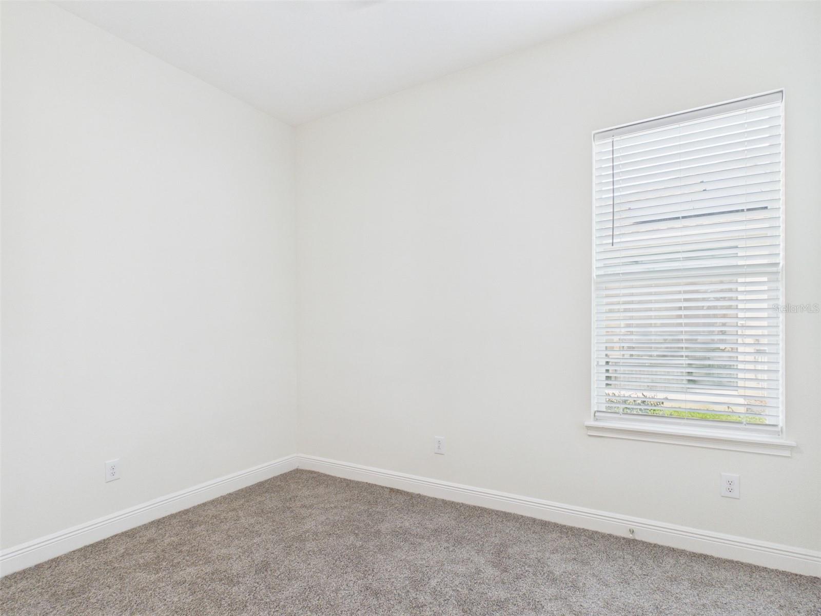 13539 CARRYBACK DR, DADE CITY, FL, 33525