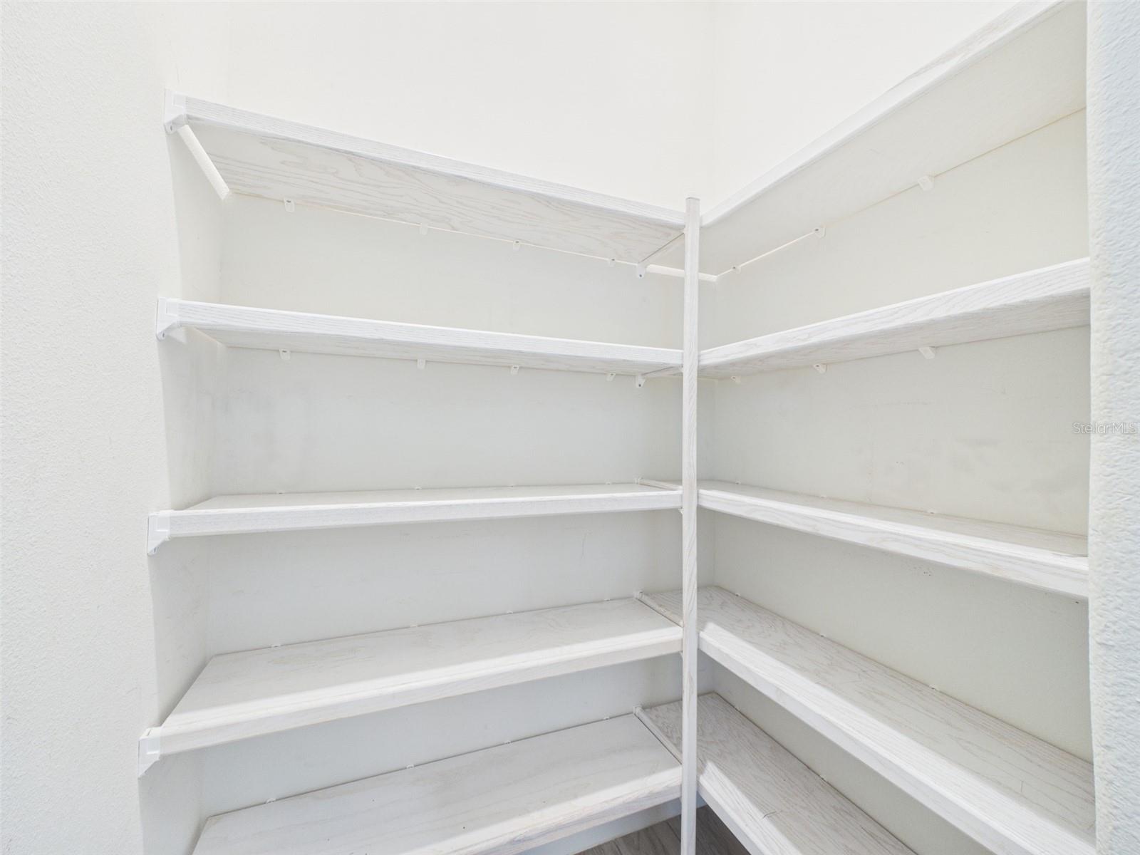 13539 CARRYBACK DR, DADE CITY, FL, 33525