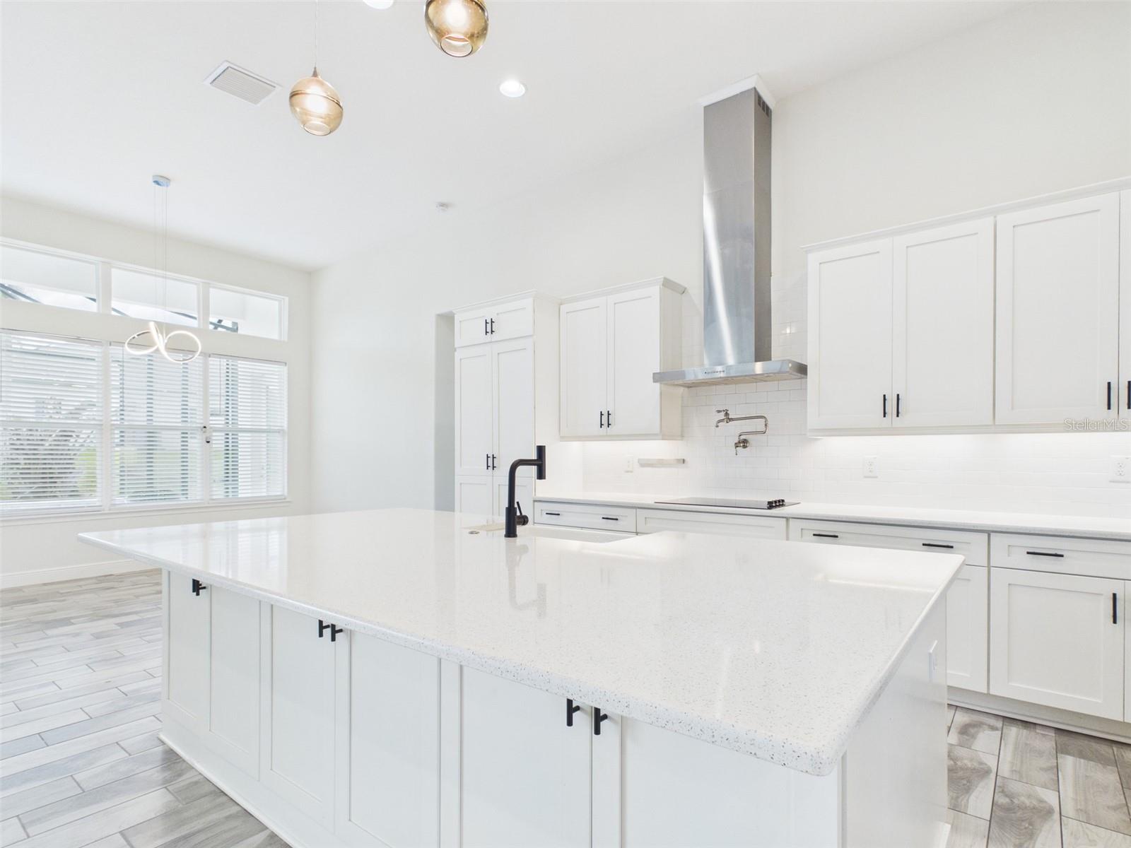 13539 CARRYBACK DR, DADE CITY, FL, 33525