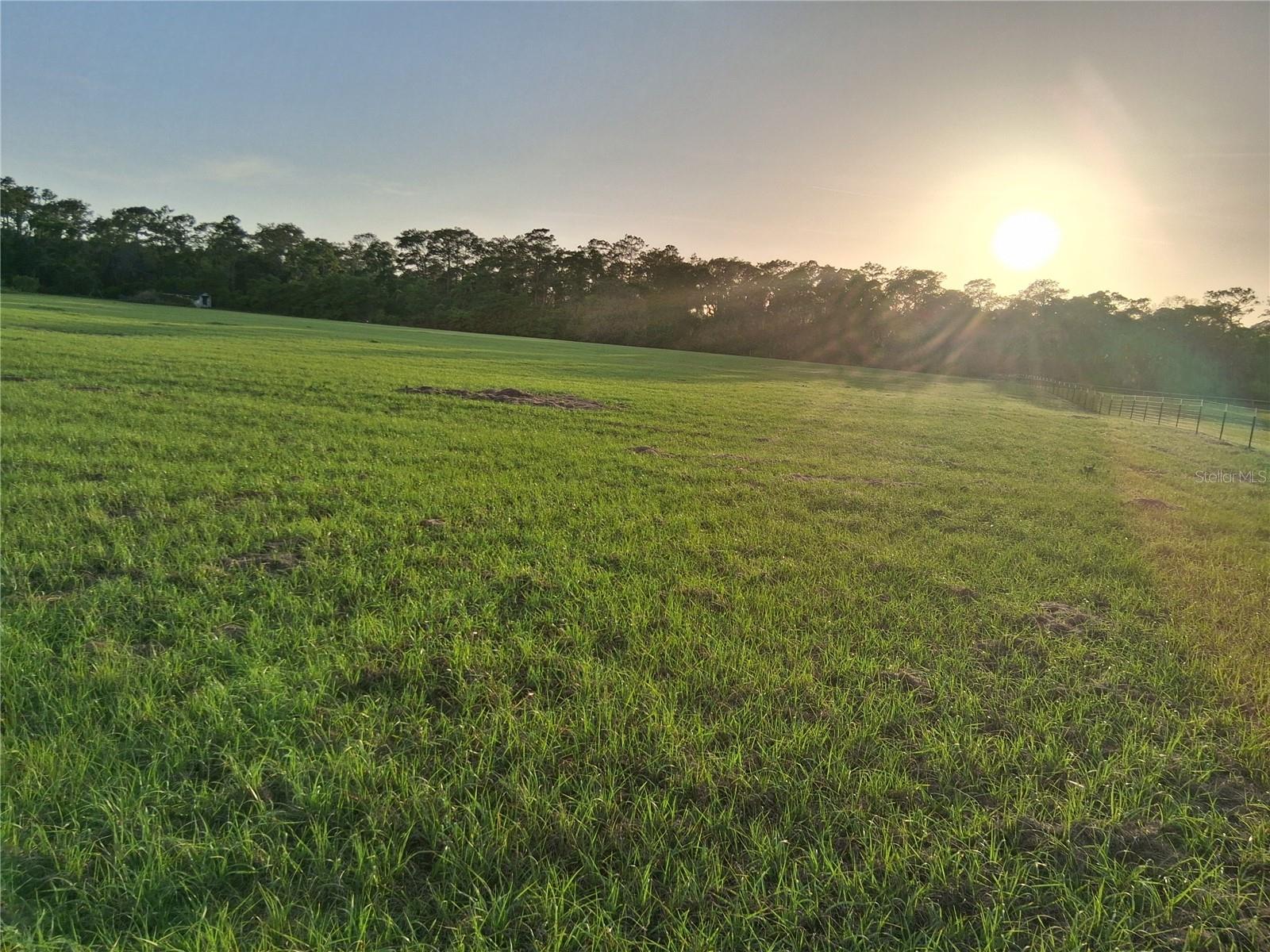 1613 NE 12TH AVE, SUMTERVILLE, FL, 33585