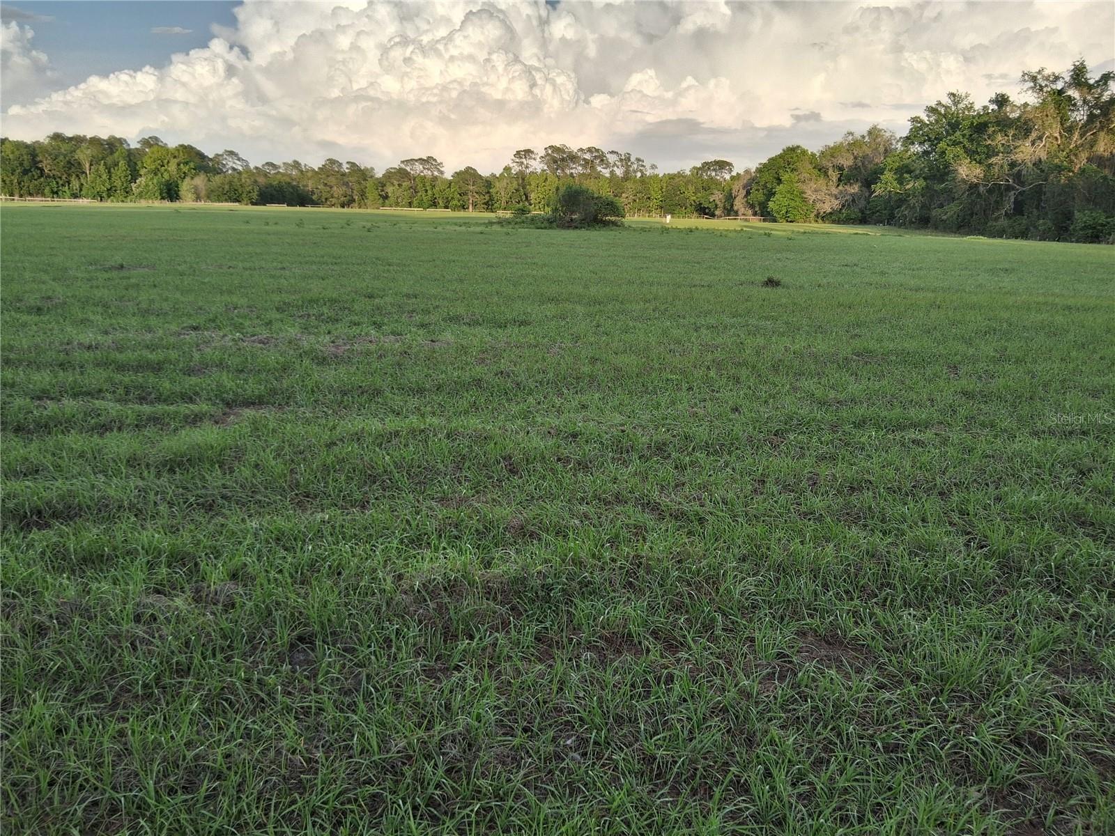 1613 NE 12TH AVE, SUMTERVILLE, FL, 33585