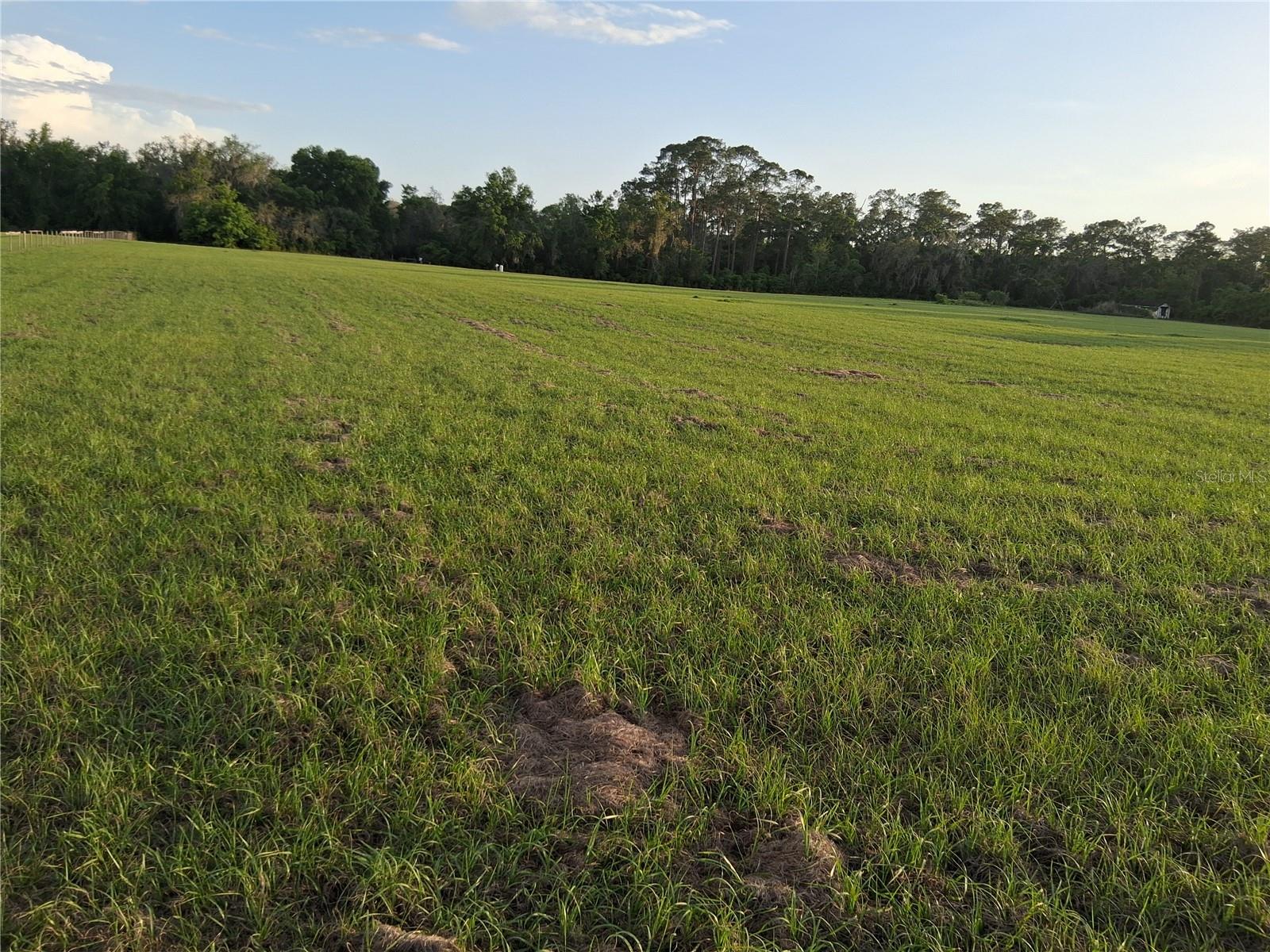 1613 NE 12TH AVE, SUMTERVILLE, FL, 33585