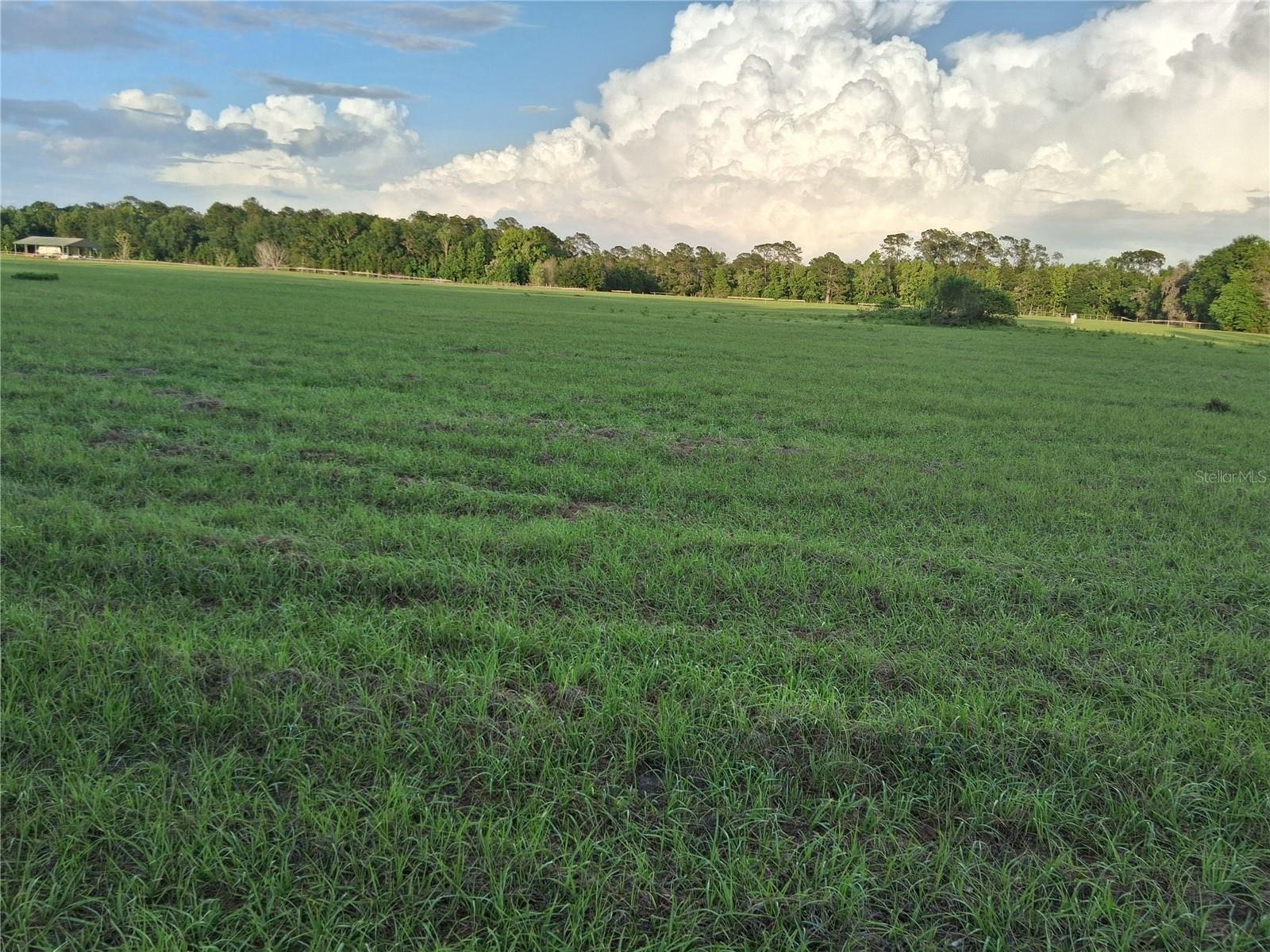 1613 NE 12TH AVE, SUMTERVILLE, FL, 33585
