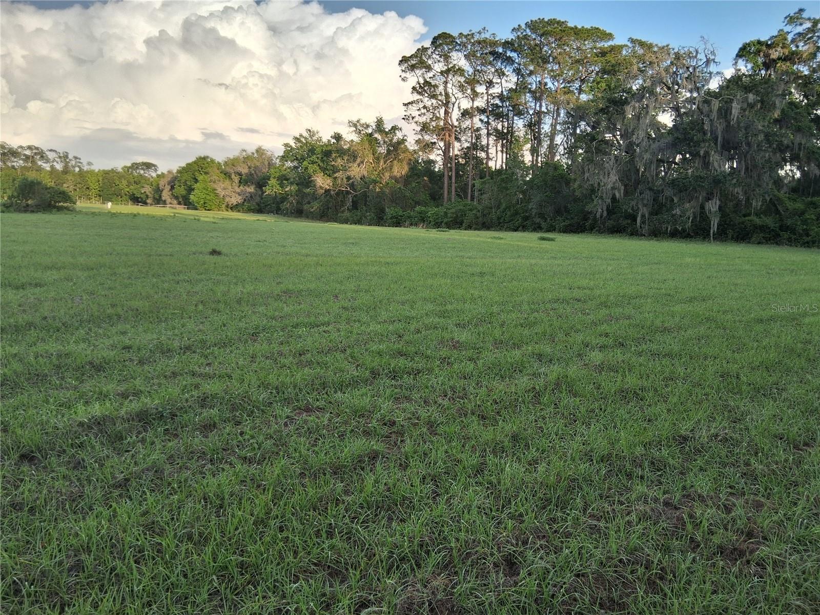 1613 NE 12TH AVE, SUMTERVILLE, FL, 33585