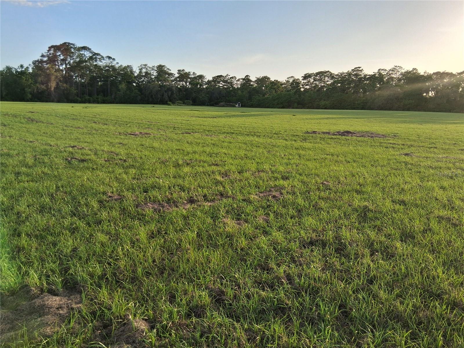 1613 NE 12TH AVE, SUMTERVILLE, FL, 33585