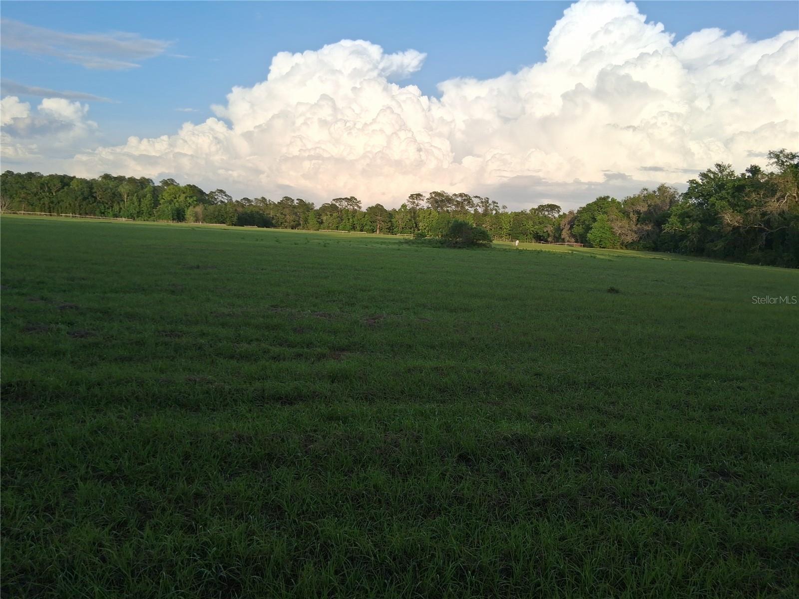 1613 NE 12TH AVE, SUMTERVILLE, FL, 33585