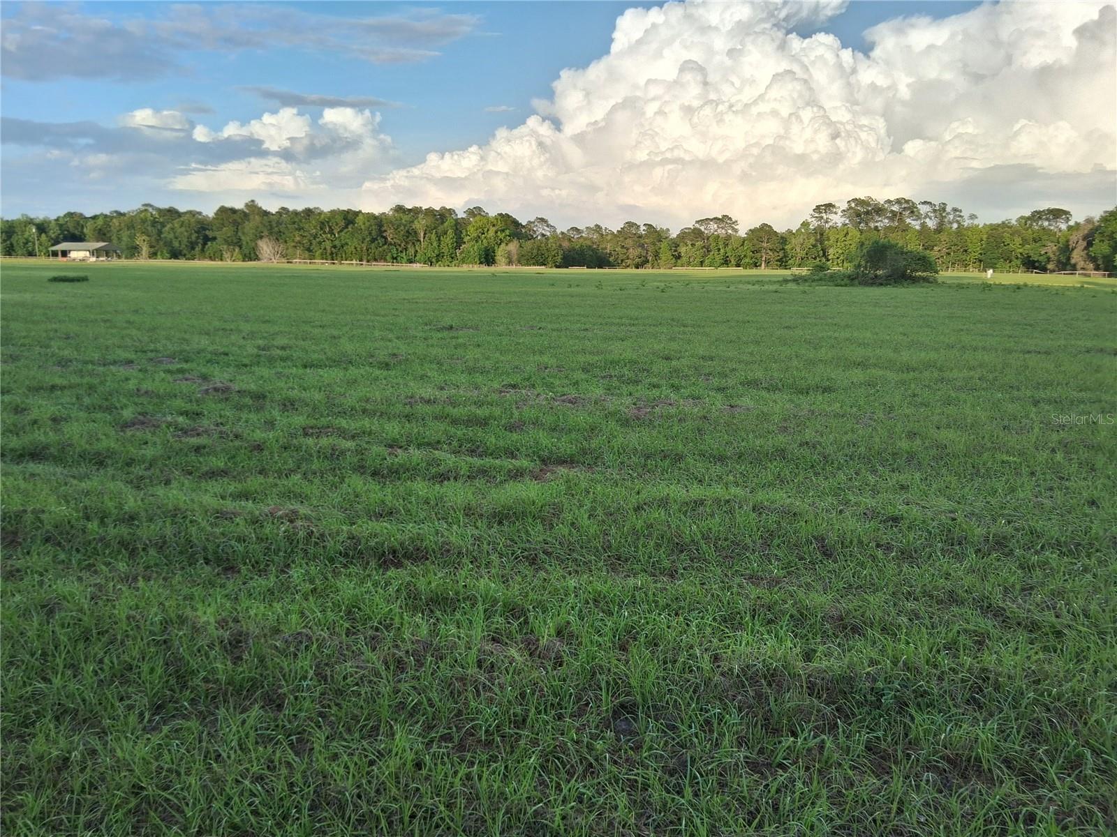 1613 NE 12TH AVE, SUMTERVILLE, FL, 33585
