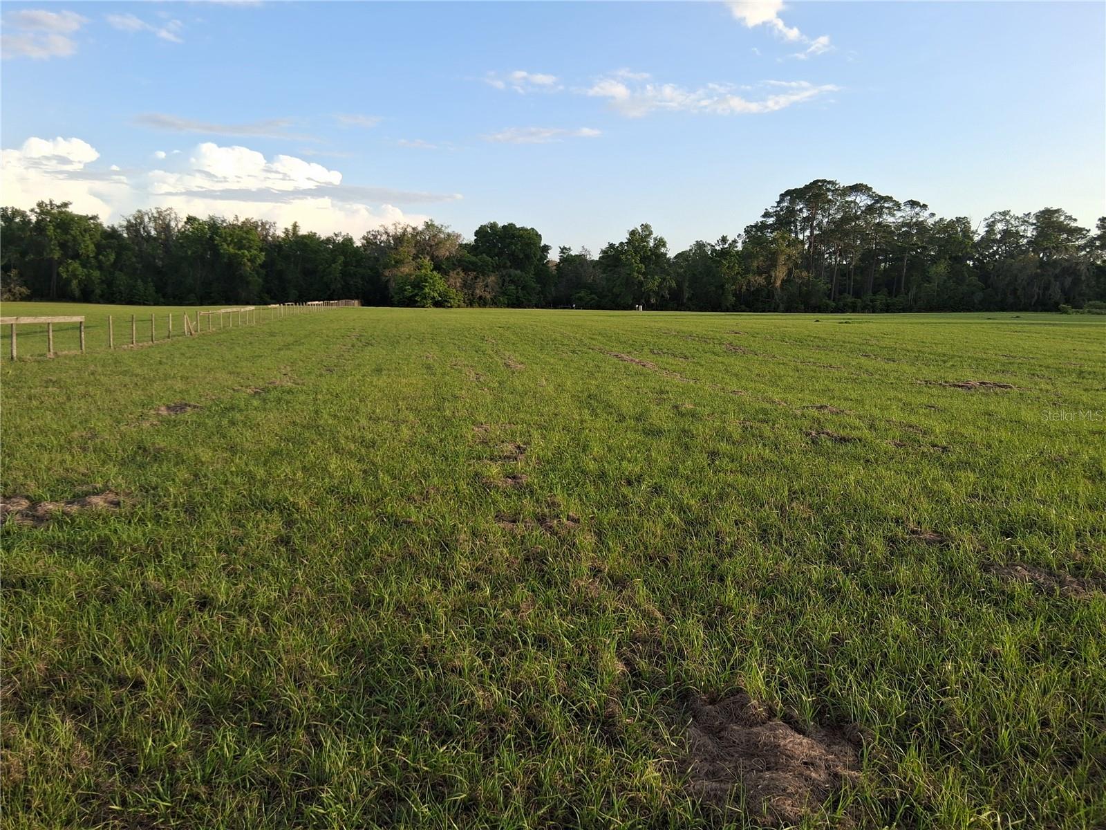 1613 NE 12TH AVE, SUMTERVILLE, FL, 33585