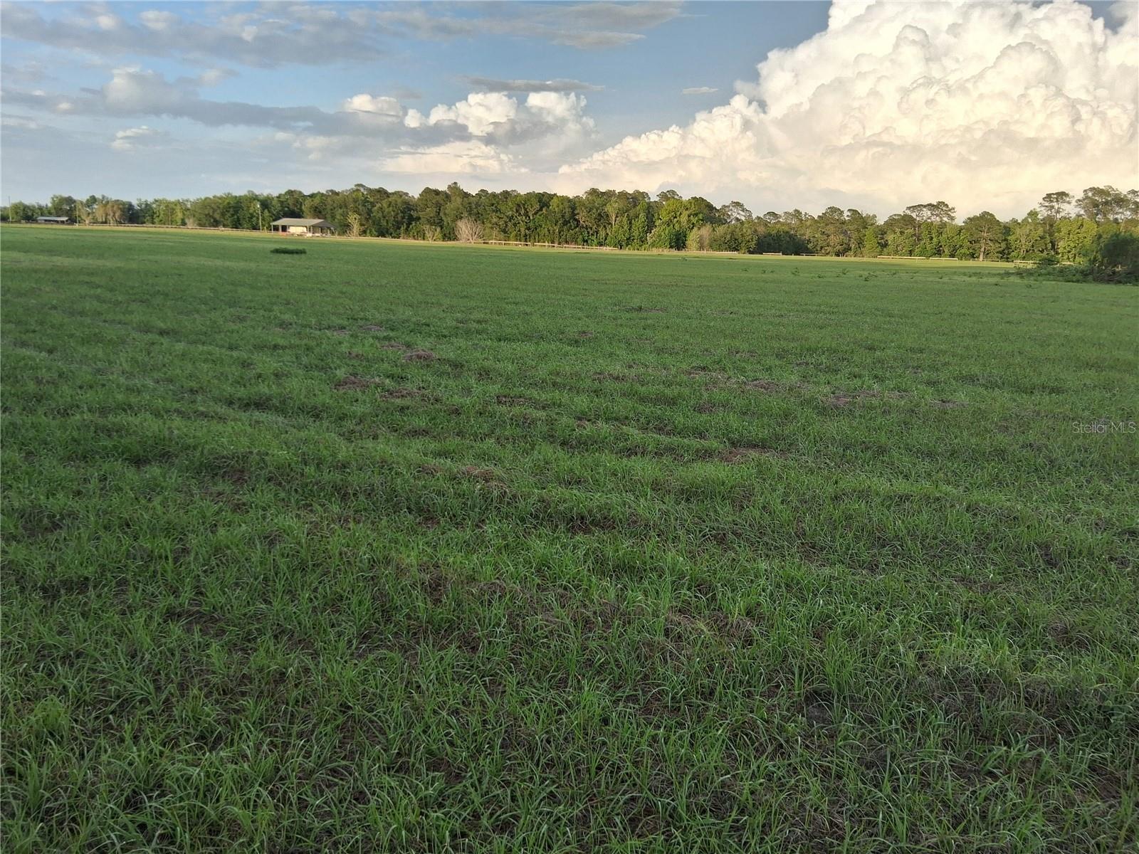 1613 NE 12TH AVE, SUMTERVILLE, FL, 33585