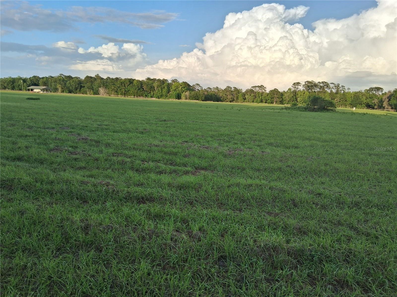 1613 NE 12TH AVE, SUMTERVILLE, FL, 33585