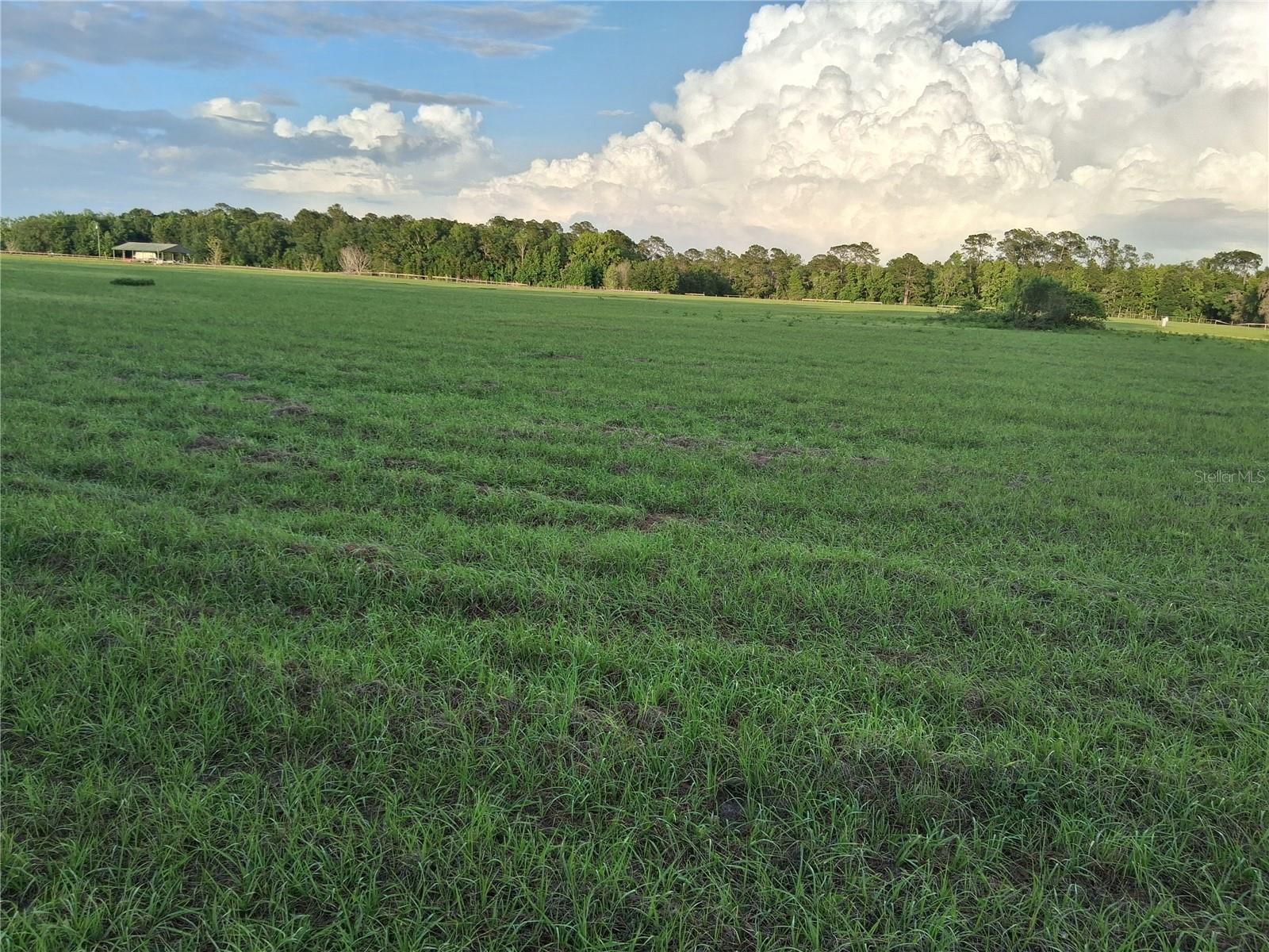 1613 NE 12TH AVE, SUMTERVILLE, FL, 33585