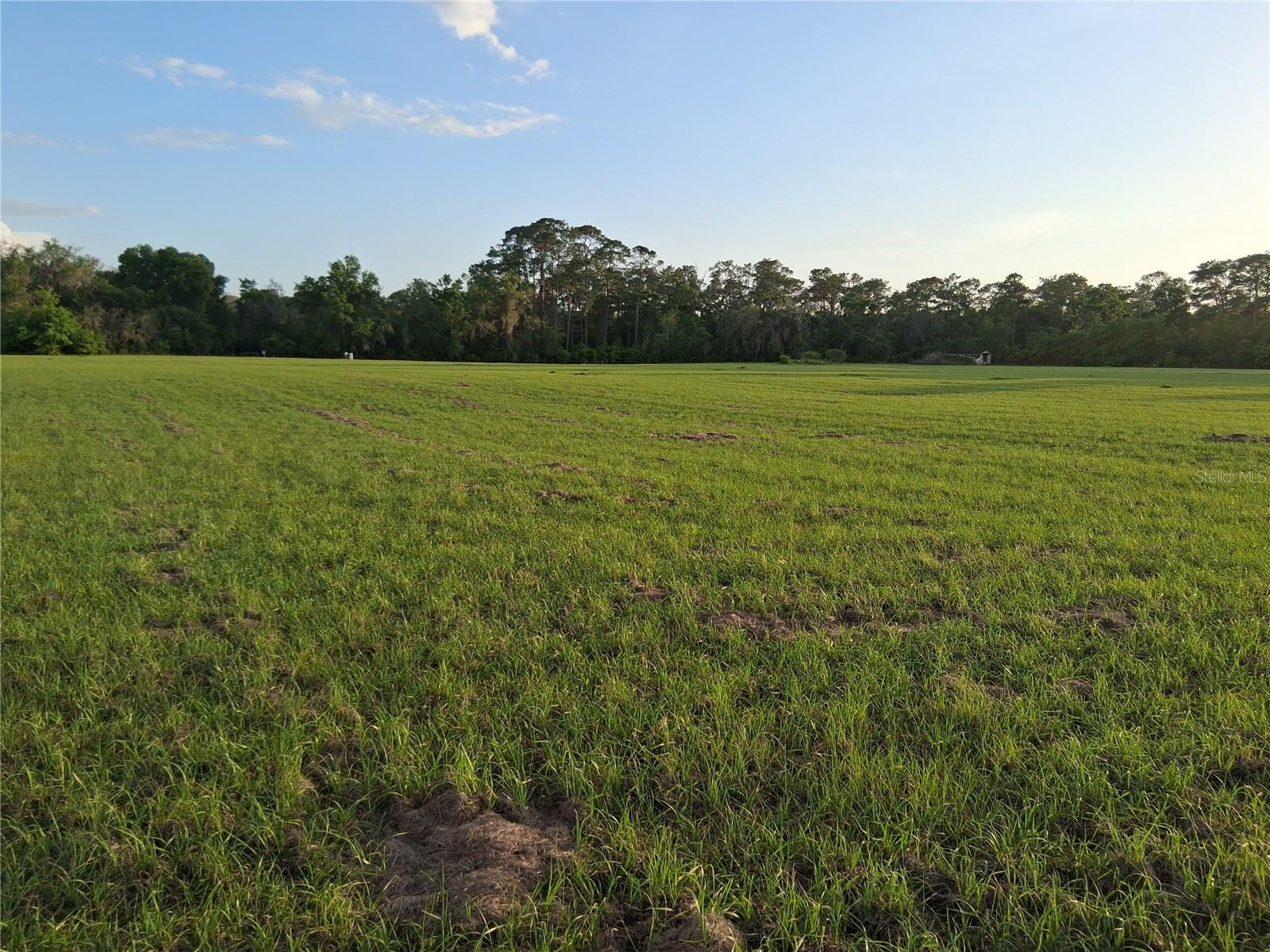 1613 NE 12TH AVE, SUMTERVILLE, FL, 33585