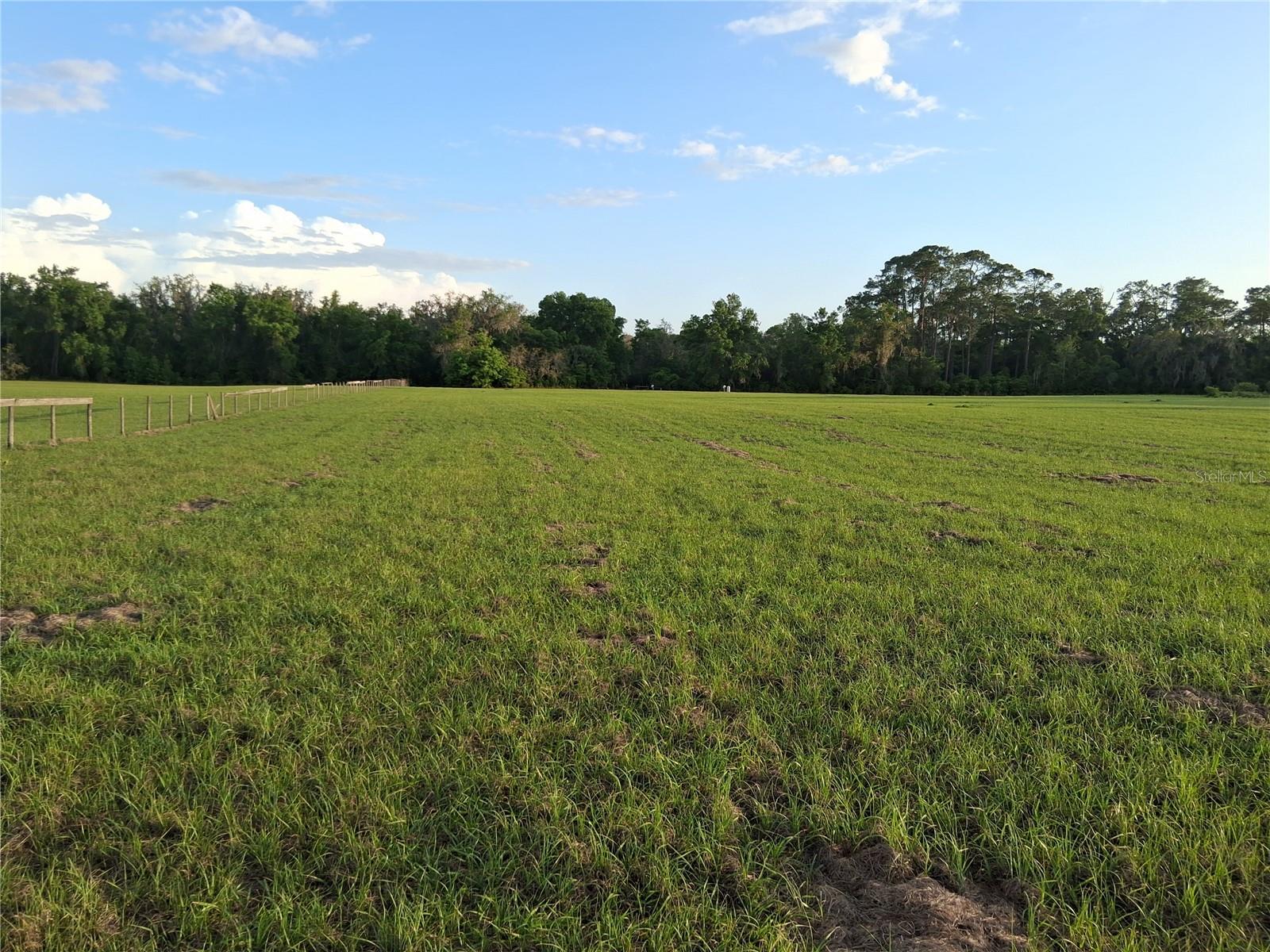 1613 NE 12TH AVE, SUMTERVILLE, FL, 33585