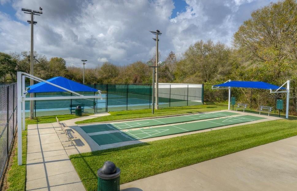 29430 SEA DAHLIA PASS, WESLEY CHAPEL, FL, 33543