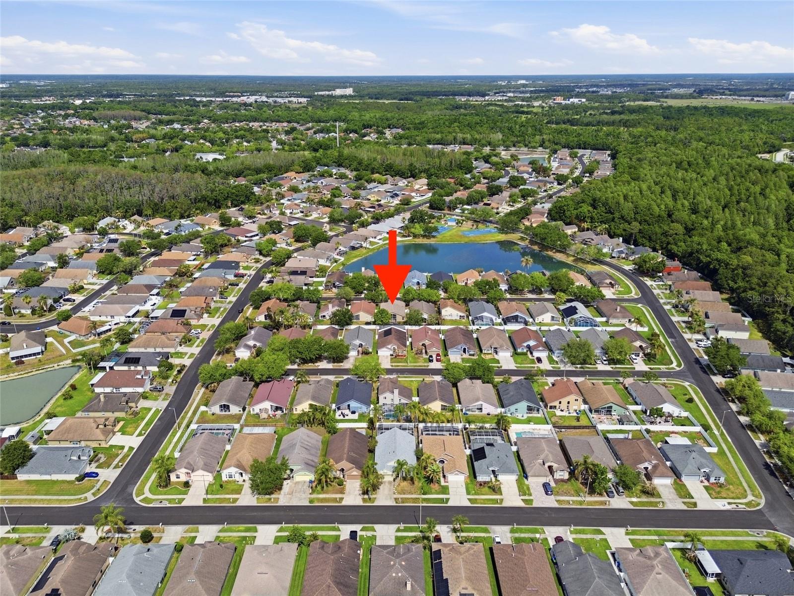 29430 SEA DAHLIA PASS, WESLEY CHAPEL, FL, 33543