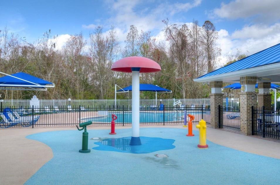 29430 SEA DAHLIA PASS, WESLEY CHAPEL, FL, 33543