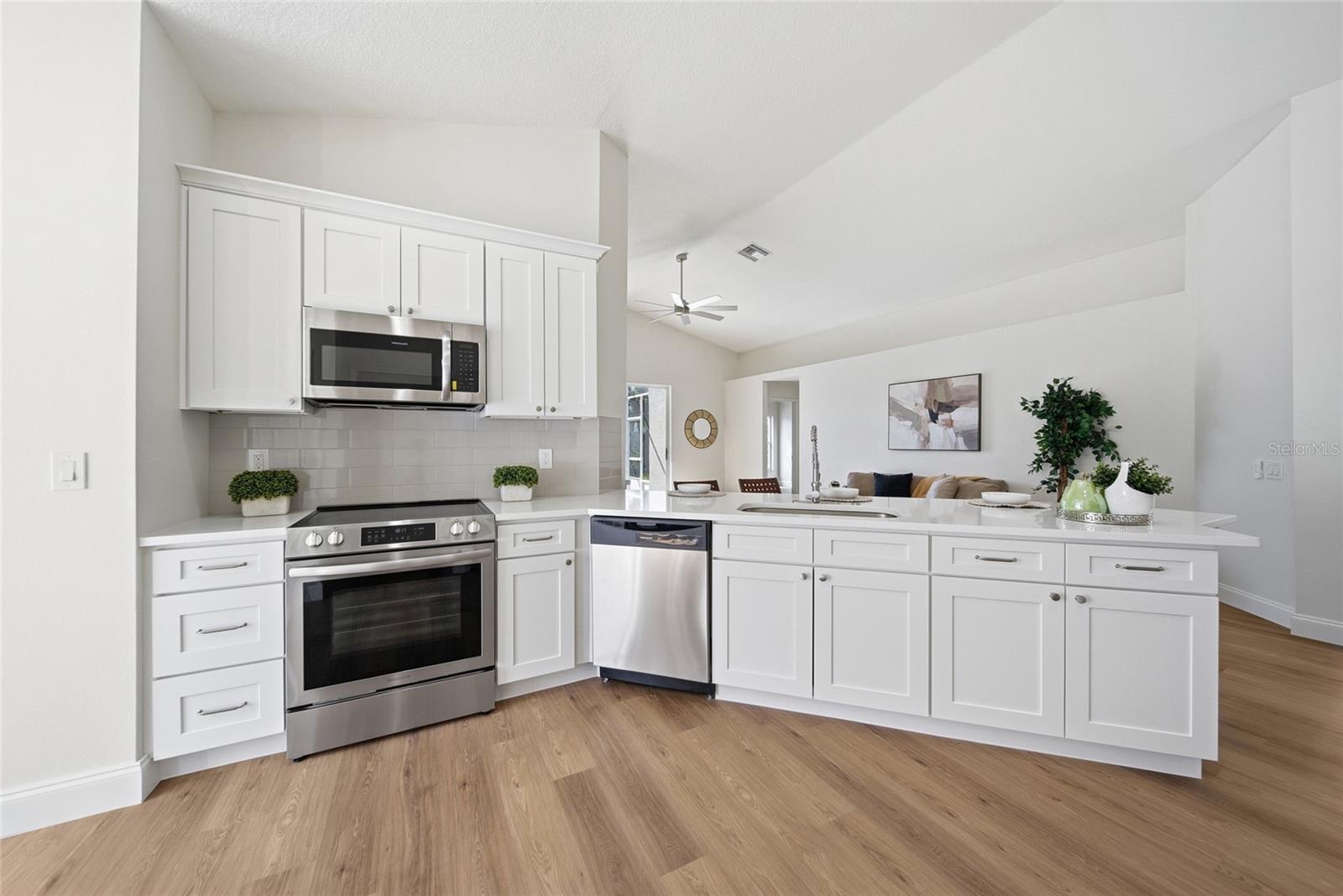 29430 SEA DAHLIA PASS, WESLEY CHAPEL, FL, 33543