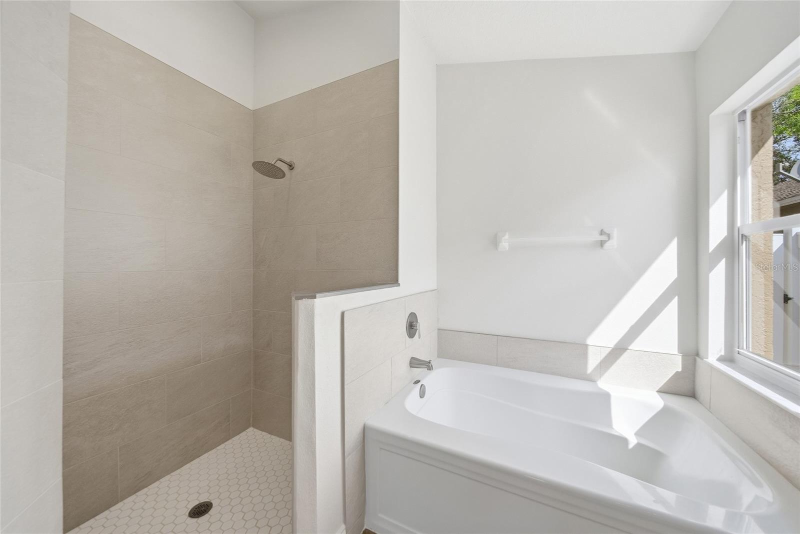 29430 SEA DAHLIA PASS, WESLEY CHAPEL, FL, 33543