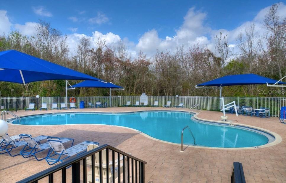29430 SEA DAHLIA PASS, WESLEY CHAPEL, FL, 33543