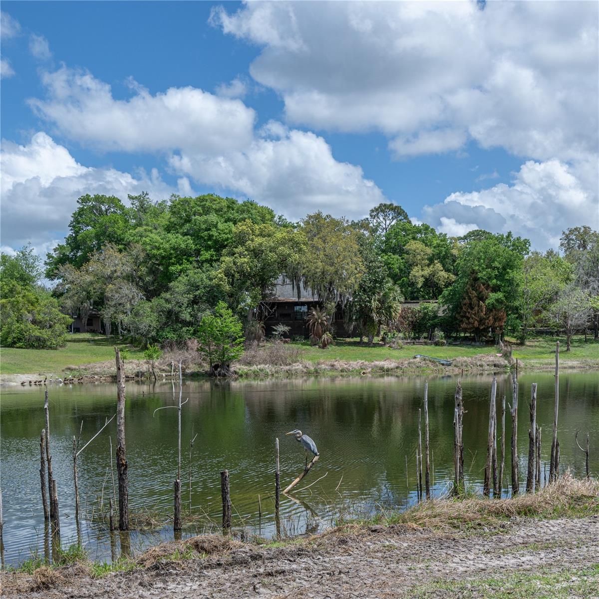 51 SPRUCE LN, DEBARY, FL, 32713