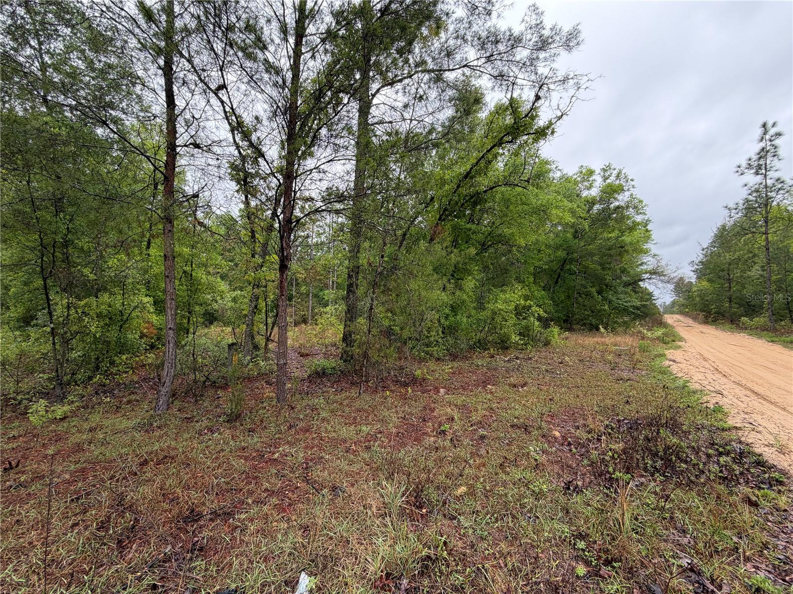 301 RAINBOW DR, HAWTHORNE, FL, 32640