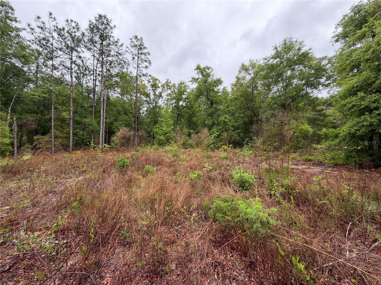 301 RAINBOW DR, HAWTHORNE, FL, 32640