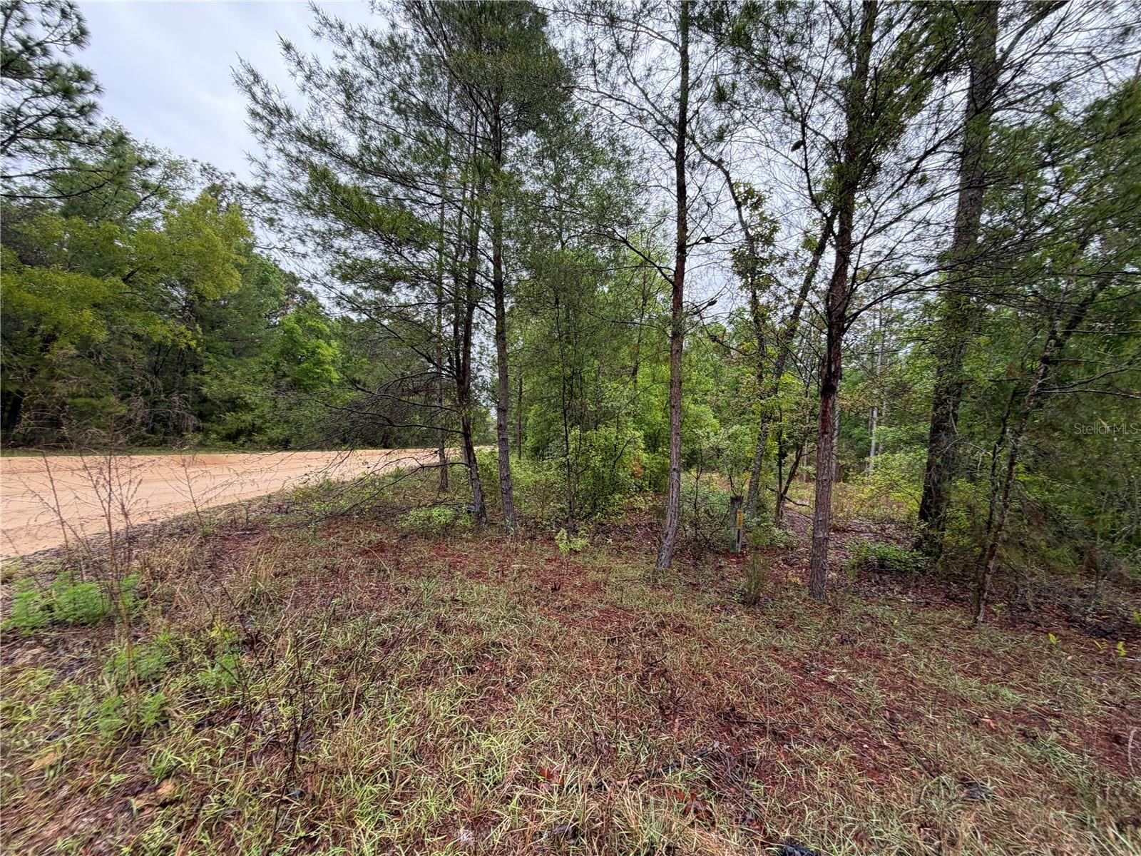 301 RAINBOW DR, HAWTHORNE, FL, 32640