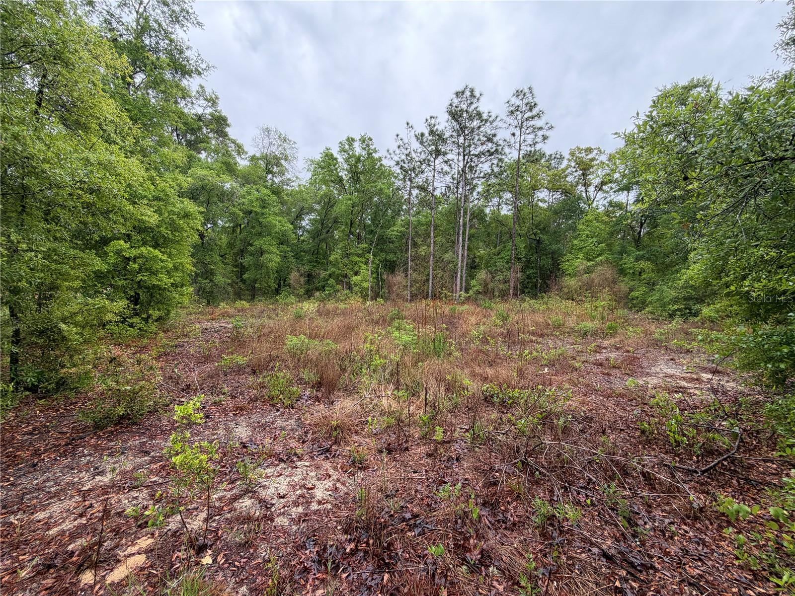 301 RAINBOW DR, HAWTHORNE, FL, 32640
