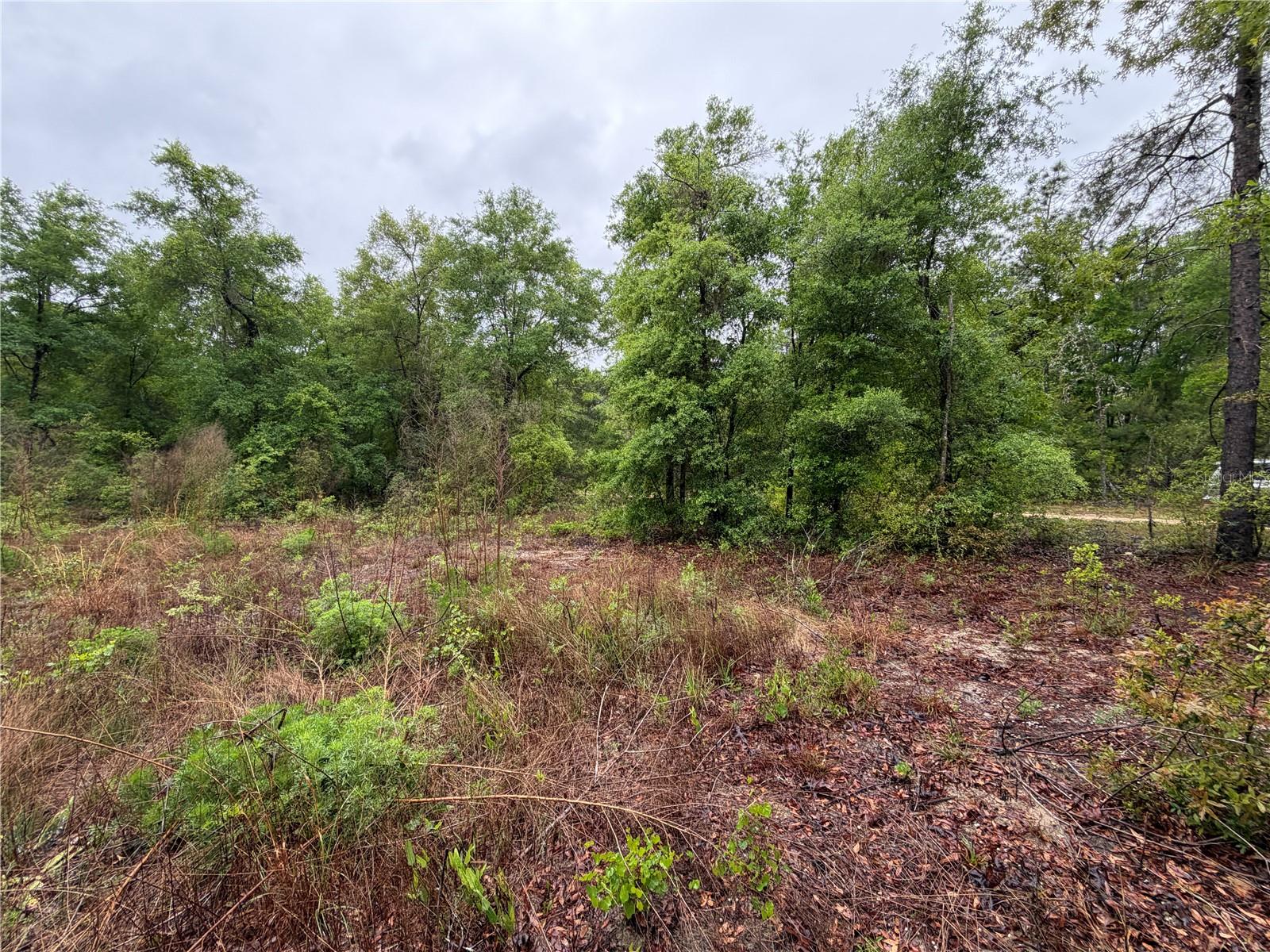 301 RAINBOW DR, HAWTHORNE, FL, 32640