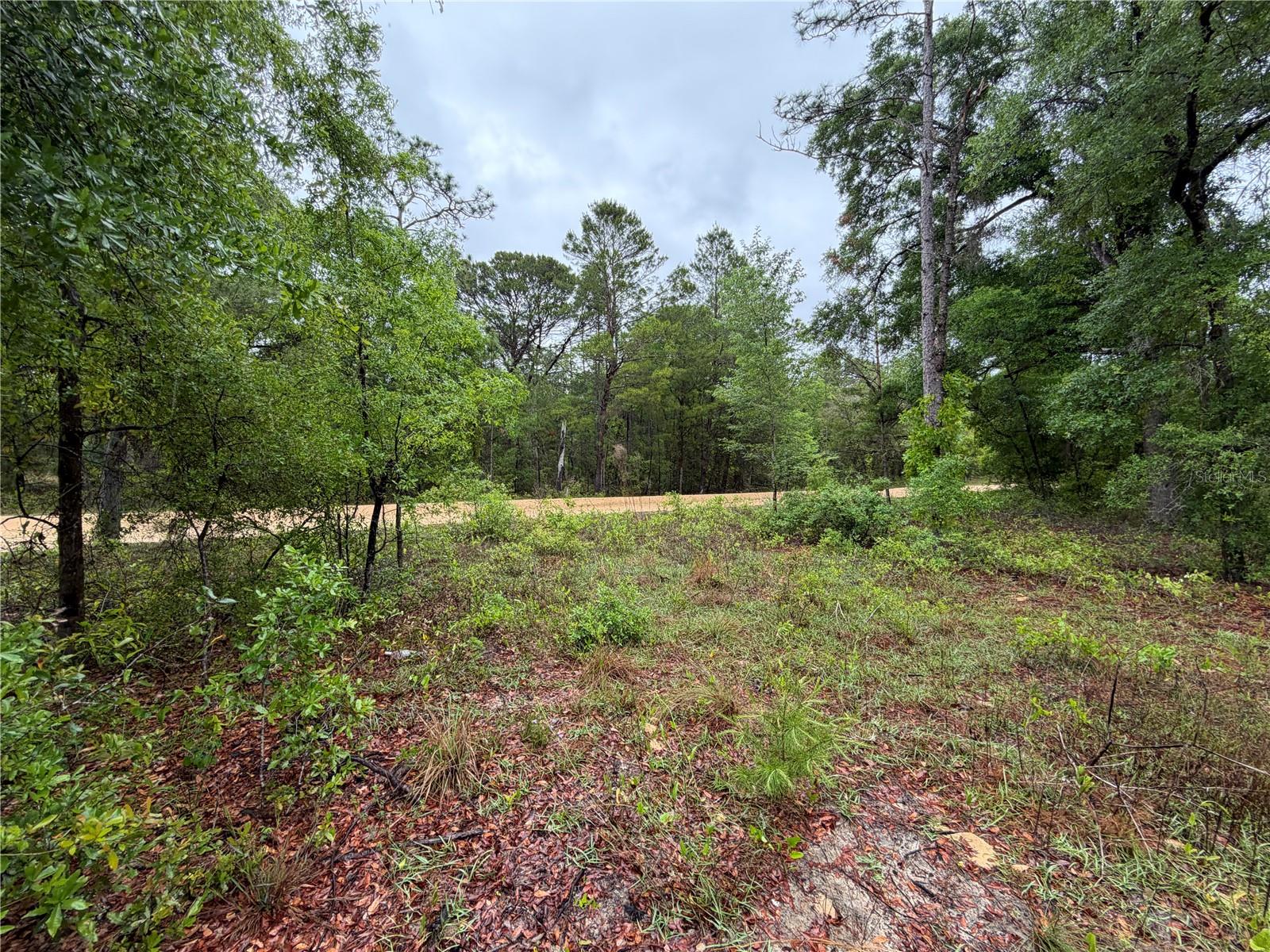 301 RAINBOW DR, HAWTHORNE, FL, 32640