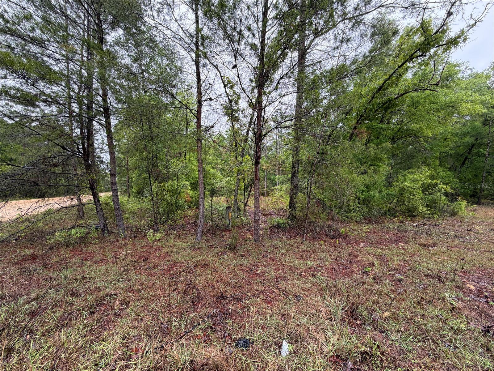 301 RAINBOW DR, HAWTHORNE, FL, 32640