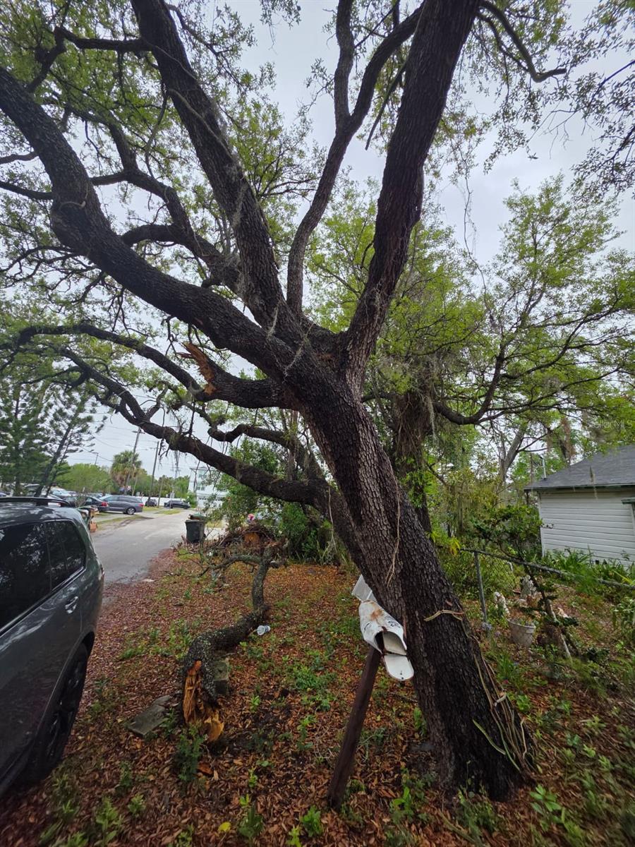 6010 S 4TH ST, TAMPA, FL, 33611