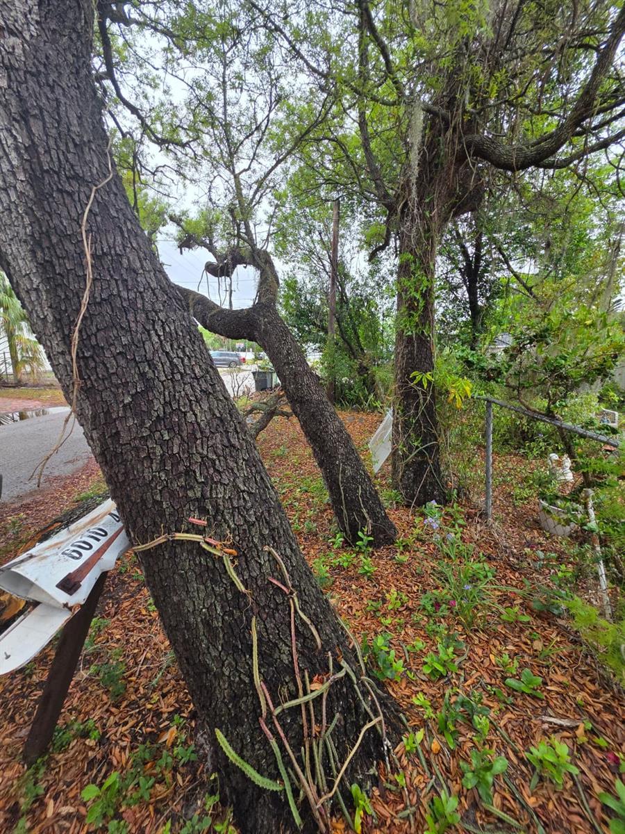 6010 S 4TH ST, TAMPA, FL, 33611