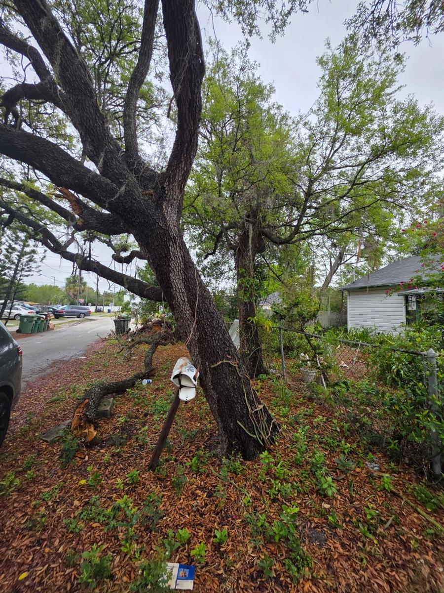 6010 S 4TH ST, TAMPA, FL, 33611