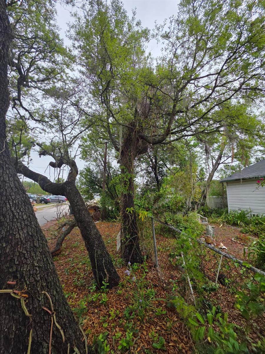 6010 S 4TH ST, TAMPA, FL, 33611