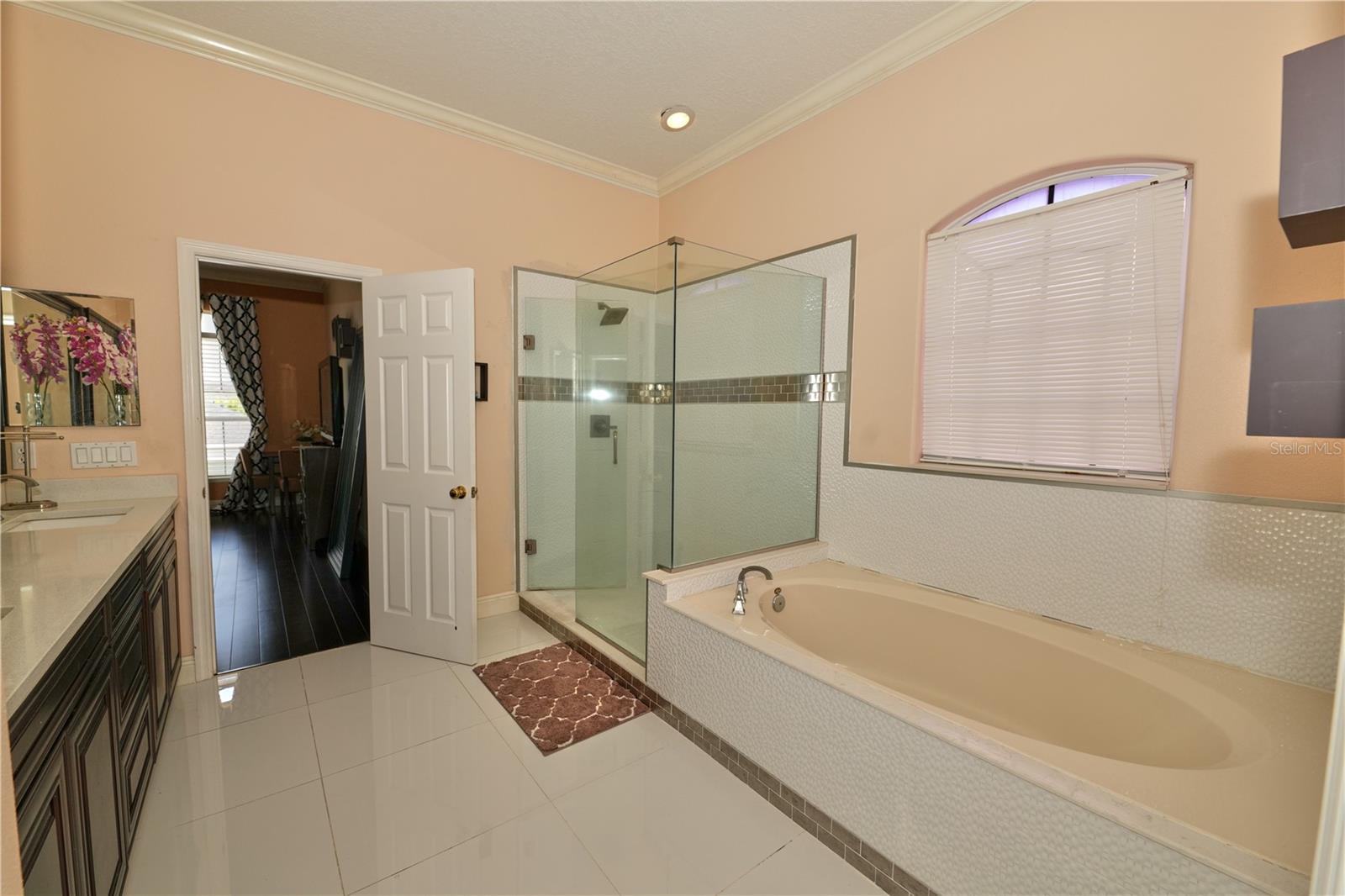 14551 CEDAR BRANCH WAY, ORLANDO, FL, 32824