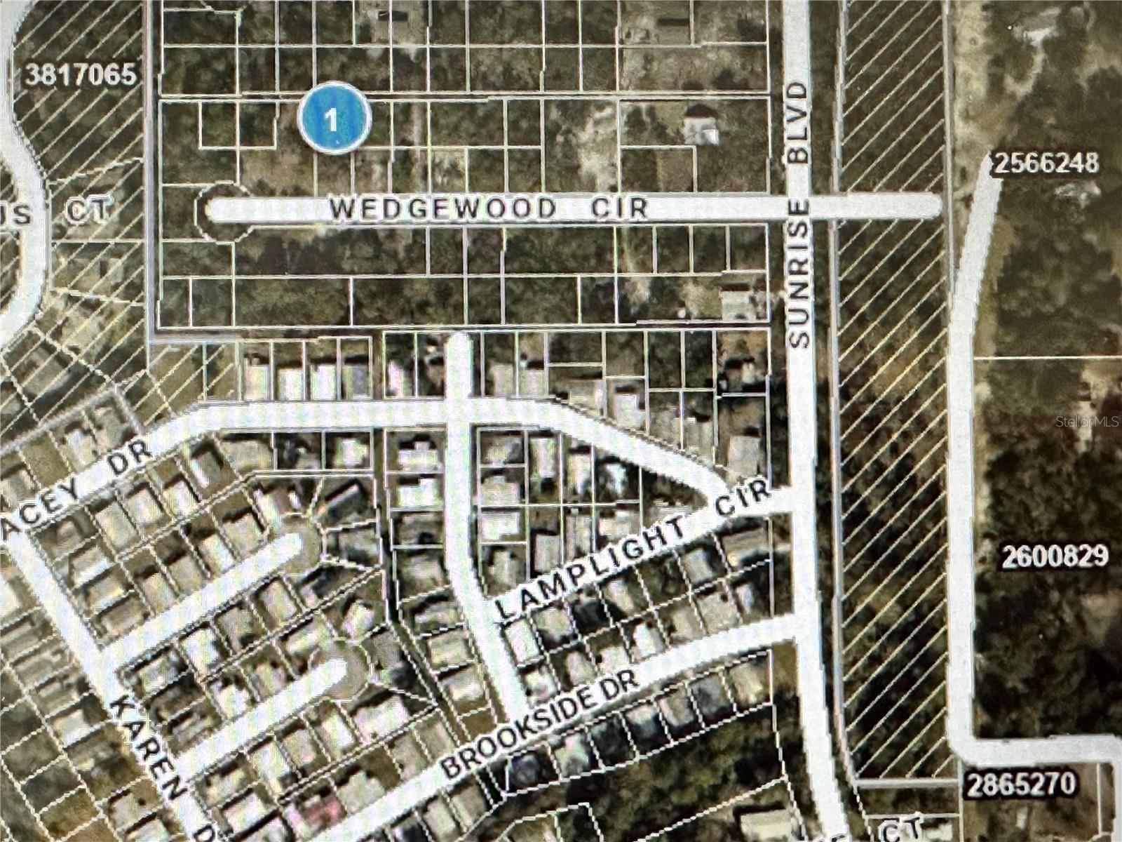 LOT 261 BROOKSIDE CIR, MOUNT DORA, FL, 32757