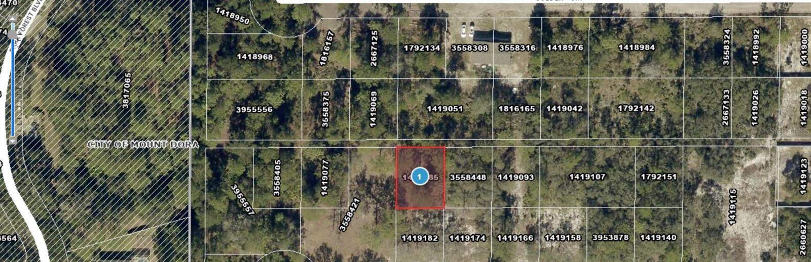LOT 261 BROOKSIDE CIR, MOUNT DORA, FL, 32757