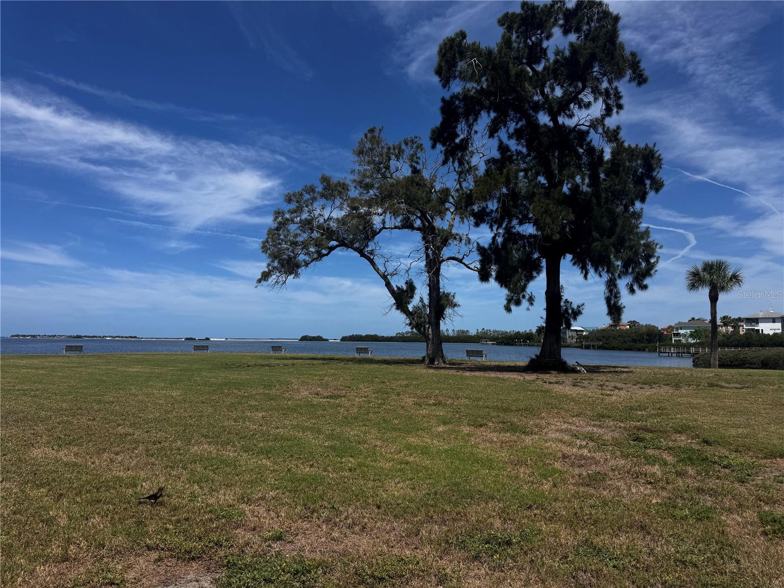 654 WINDRUSH BAY DR #654, TARPON SPRINGS, FL, 34689